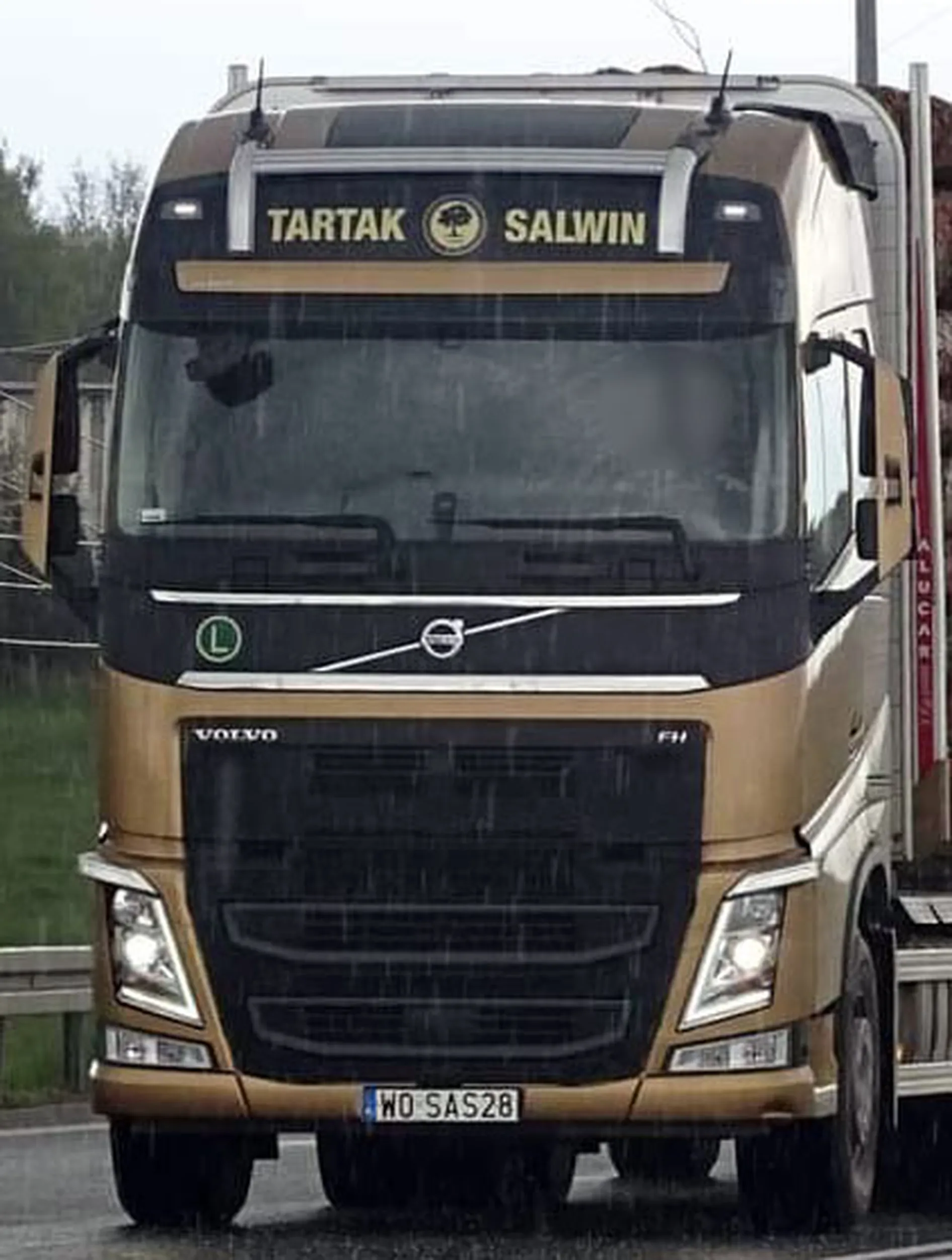 Fajny numer, blacha W0 SAS28