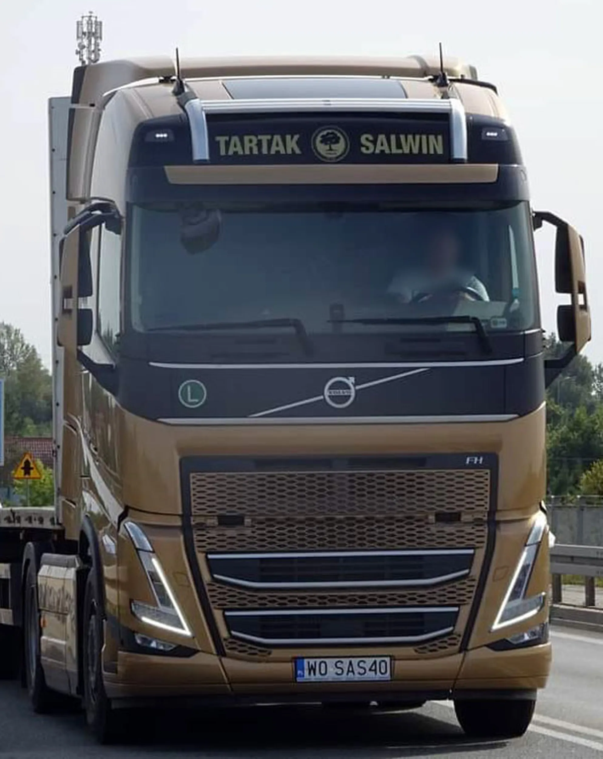 Fajny numer, blacha W0 SAS40