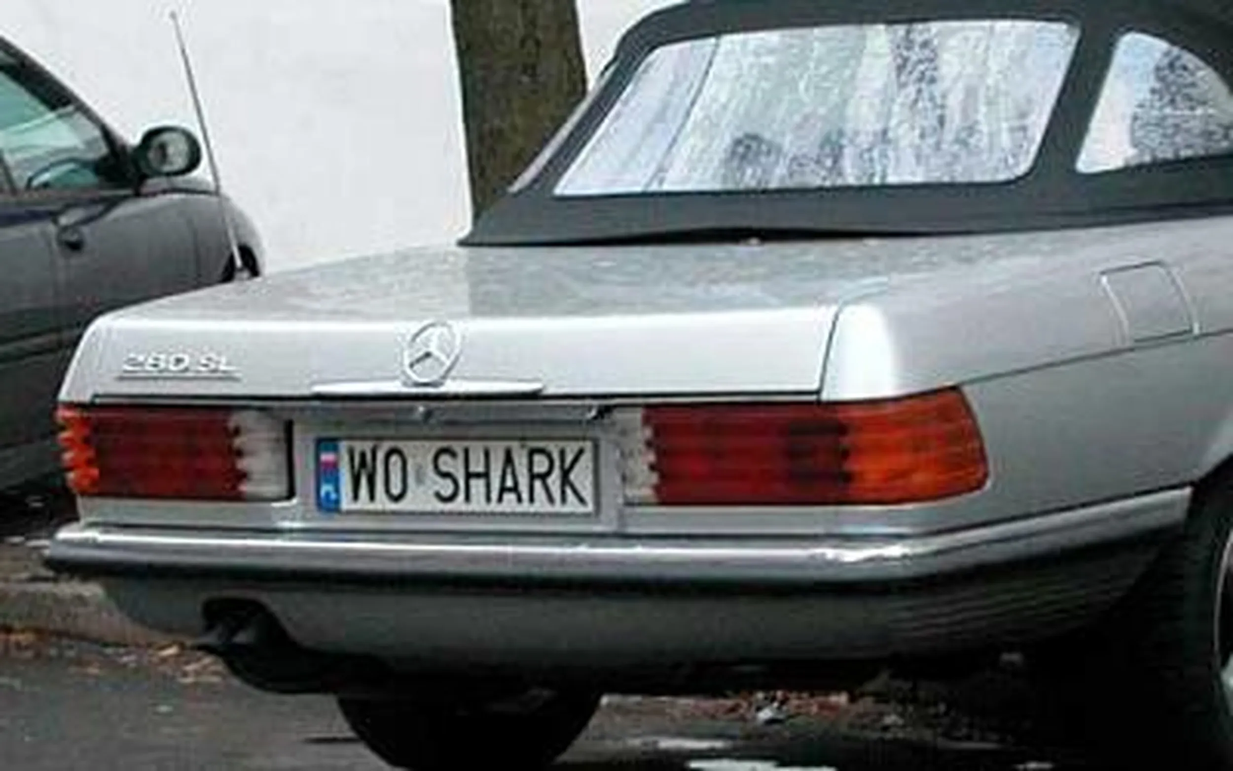 Fajny numer, blacha W0 SHARK