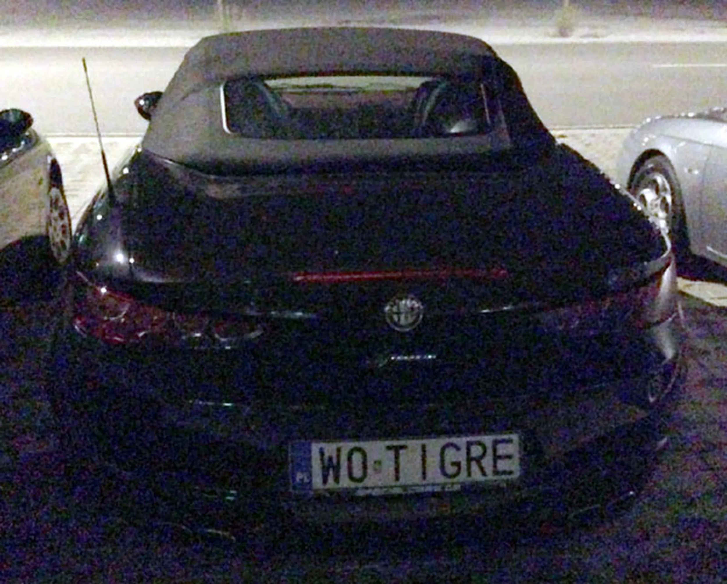 Fajny numer, blacha W0 TIGRE