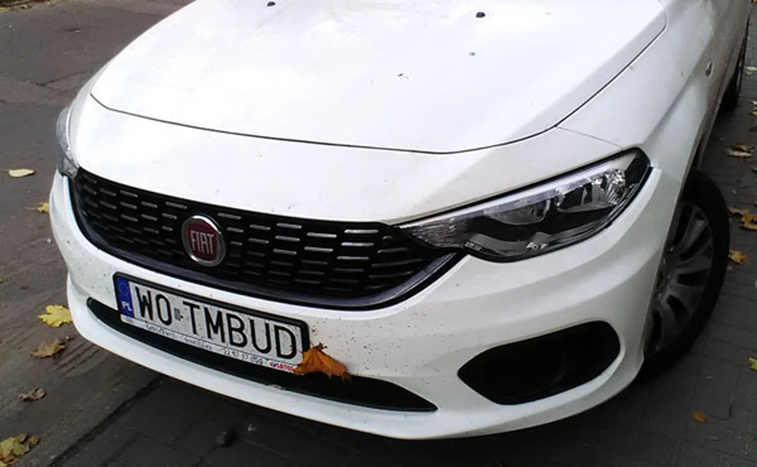 Fajny numer, blacha W0 TMBUD