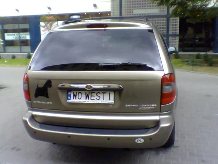 Fajny numer, blacha W0 WESTI