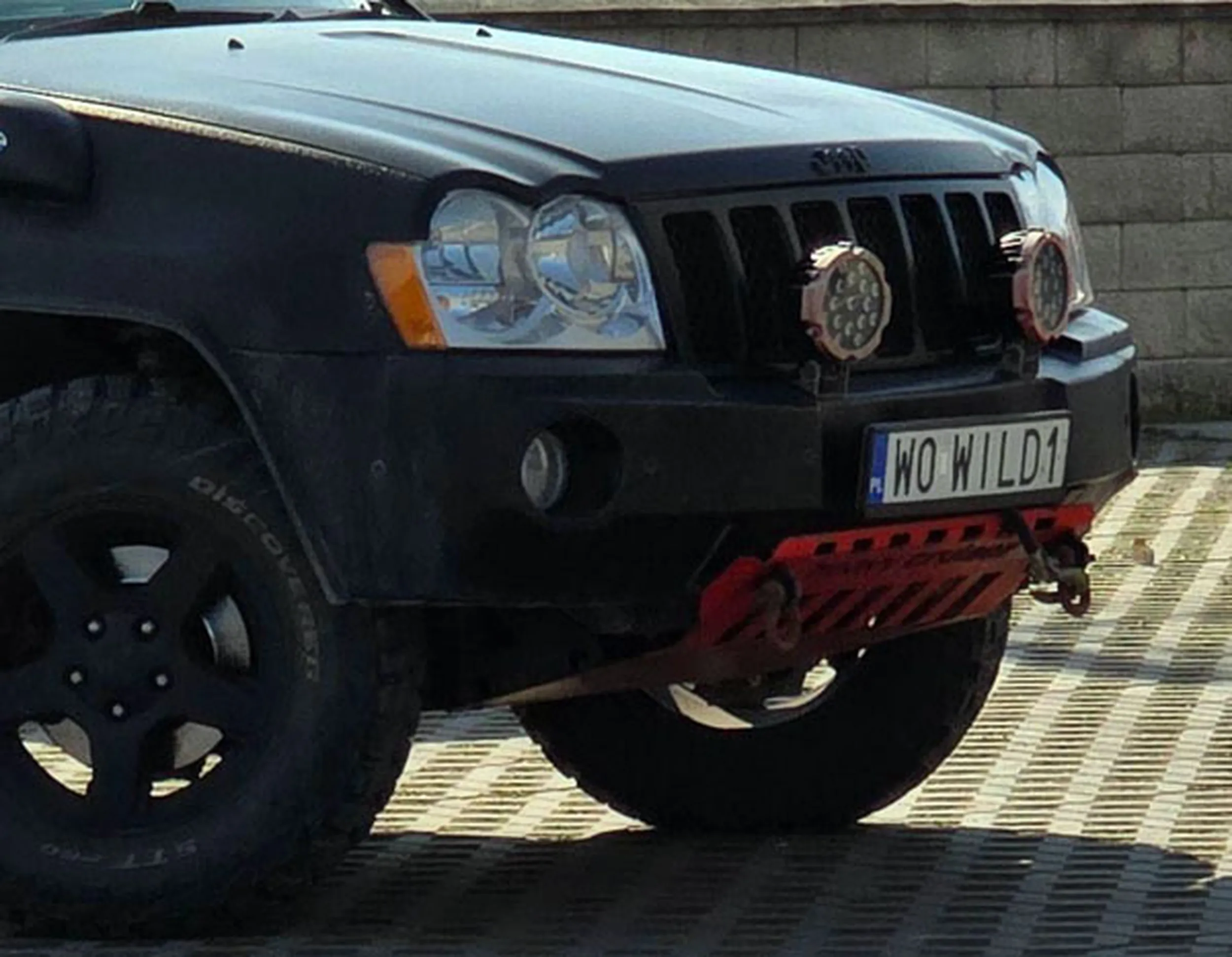 Fajny numer, blacha W0 WILD1