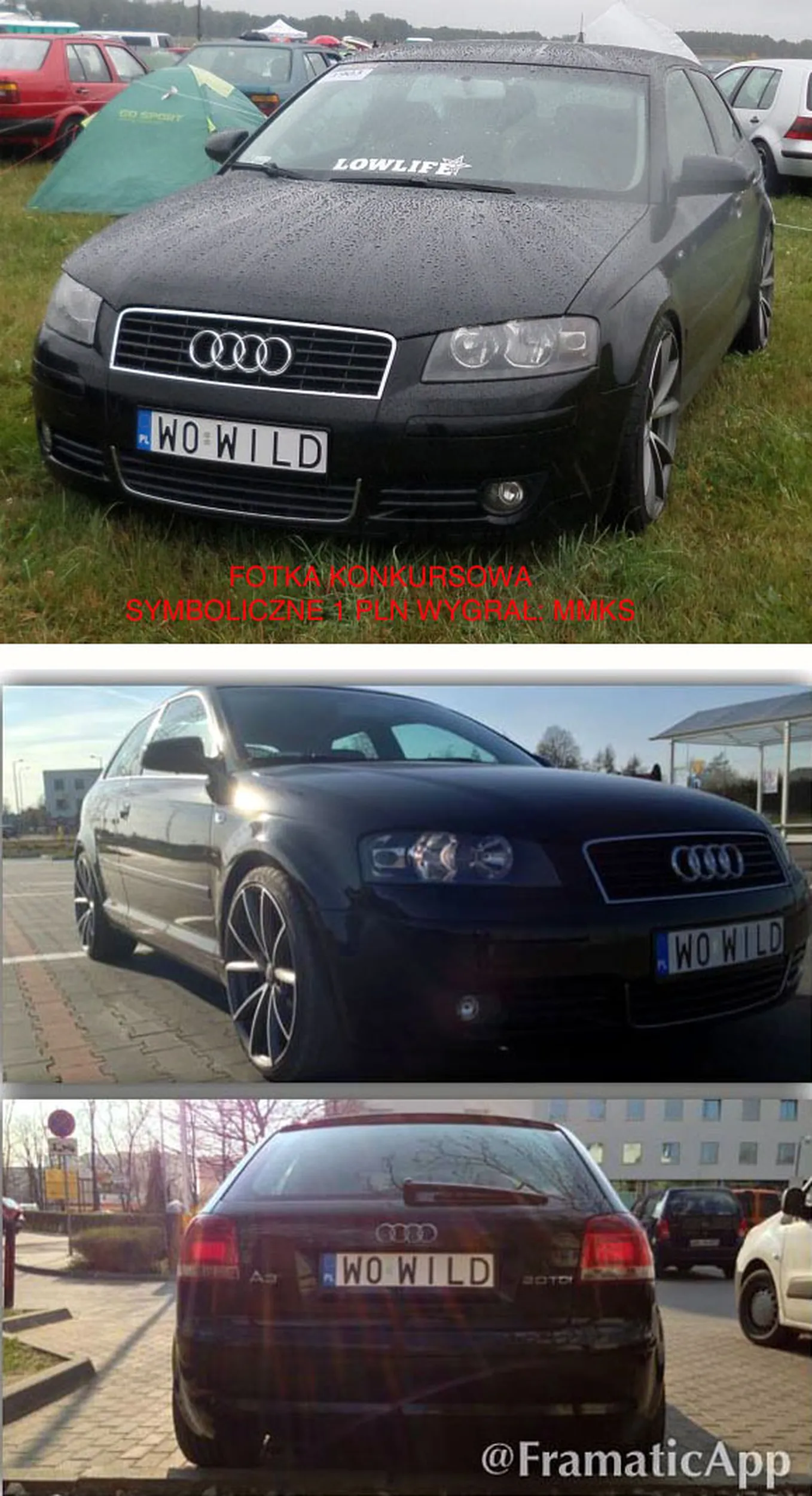 Fajny numer, blacha W0 WILD