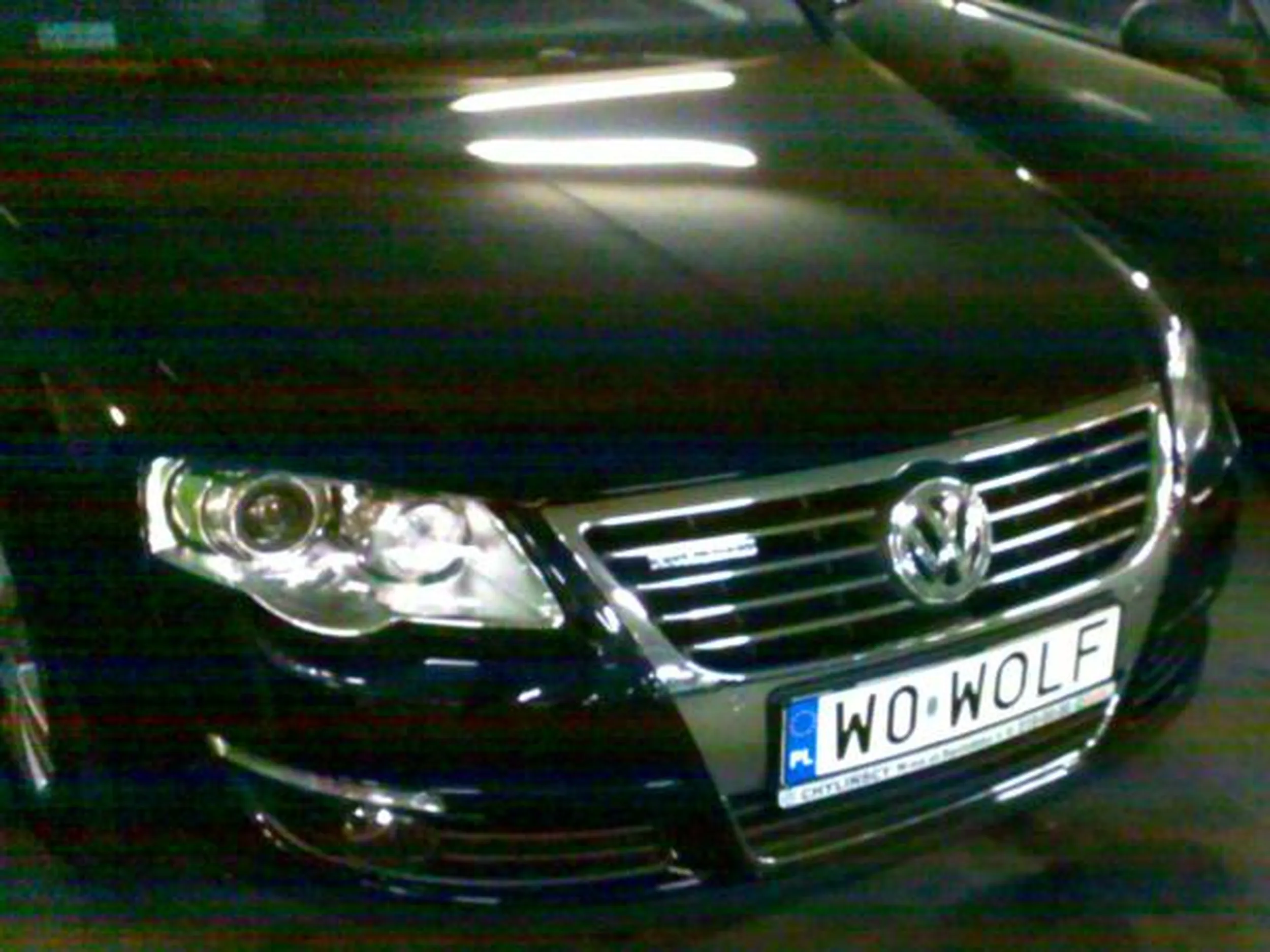 Fajny numer, blacha W0 WOLF