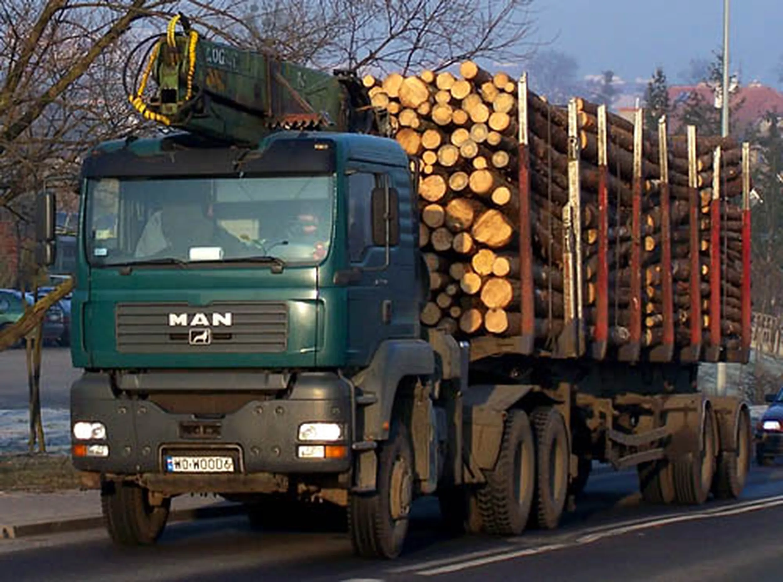 Fajny numer, blacha W0 WOOD6