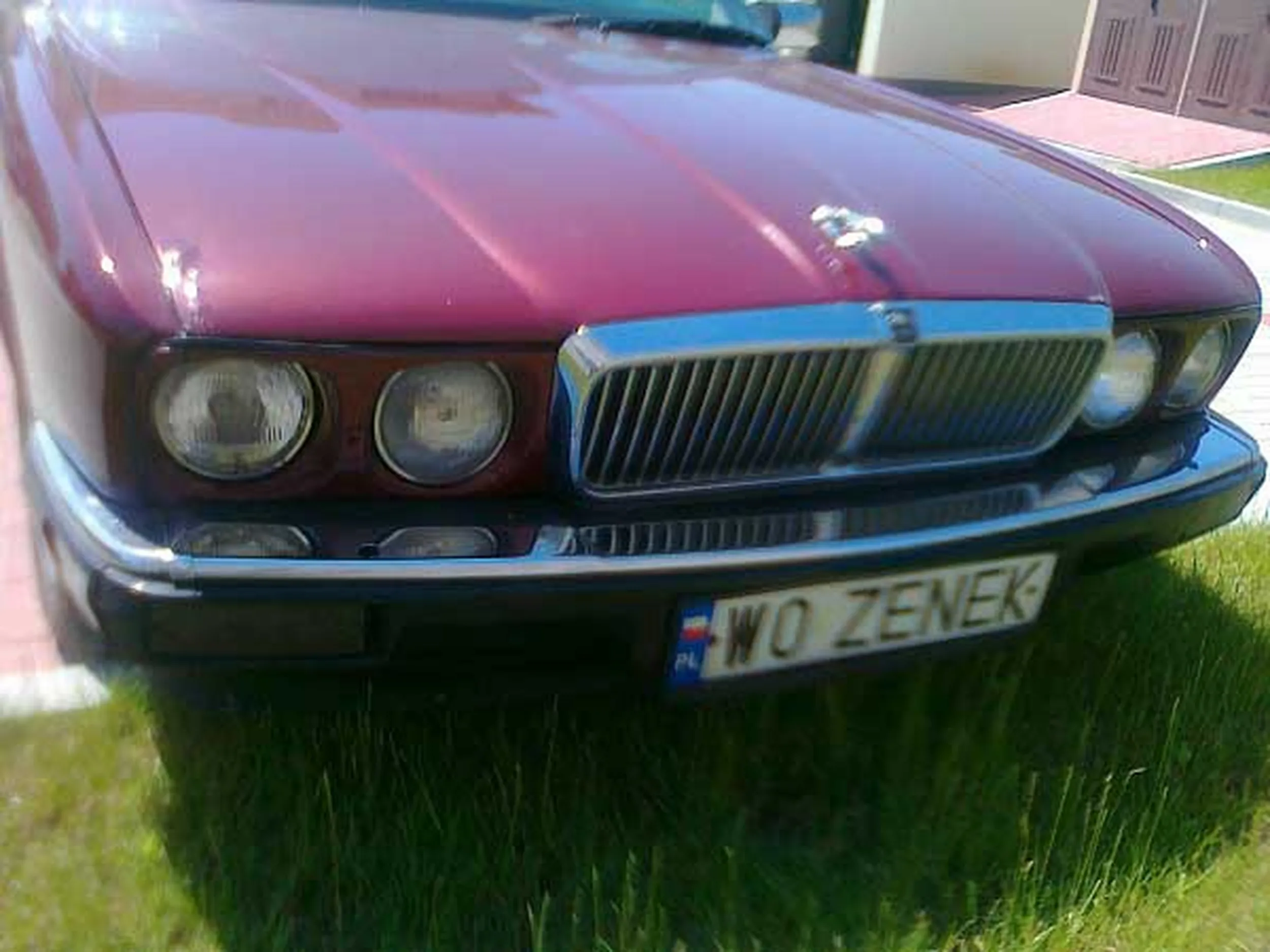 Fajny numer, blacha W0 ZENEK