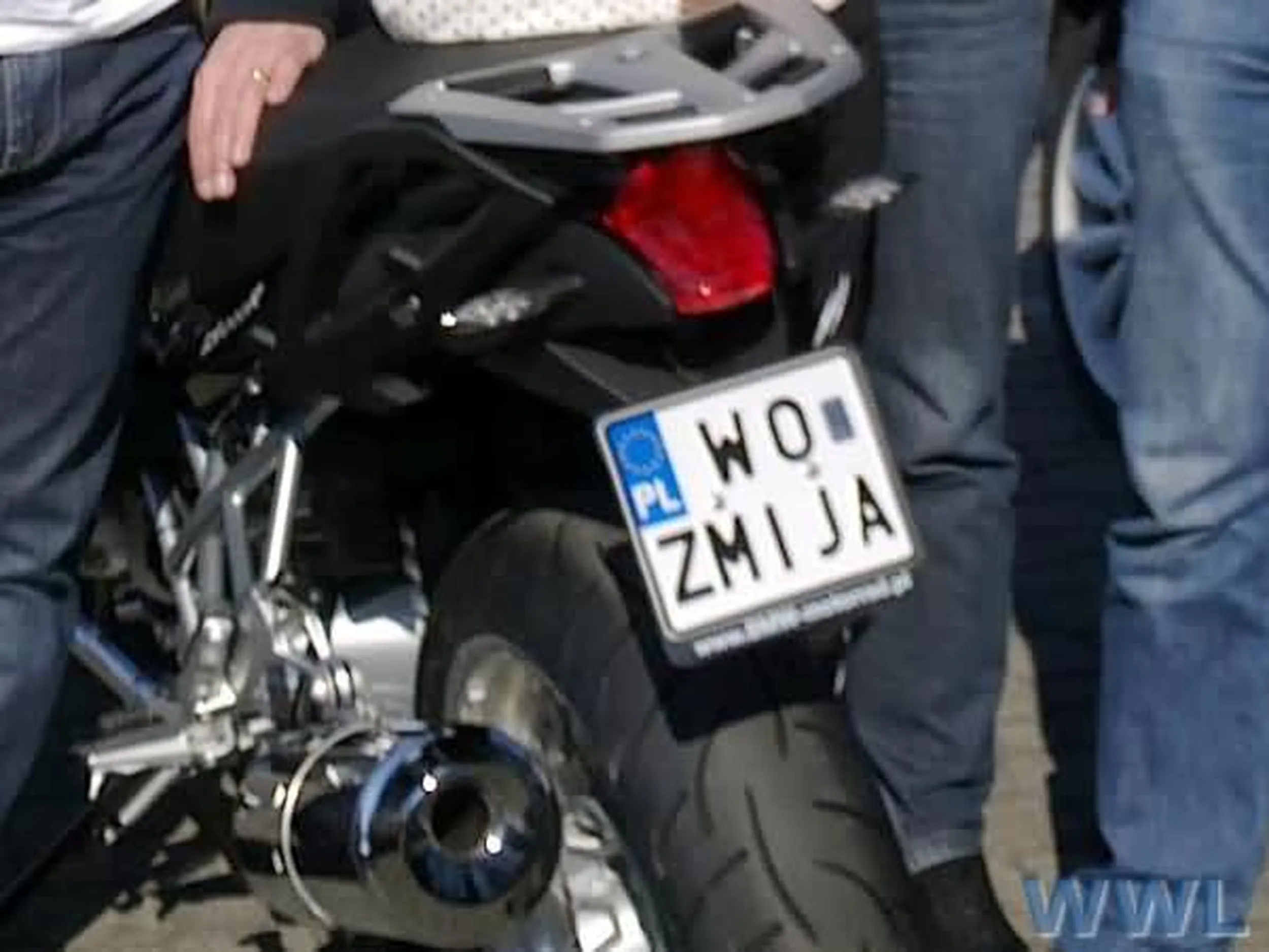 Fajny numer, blacha W0 ZMIJA