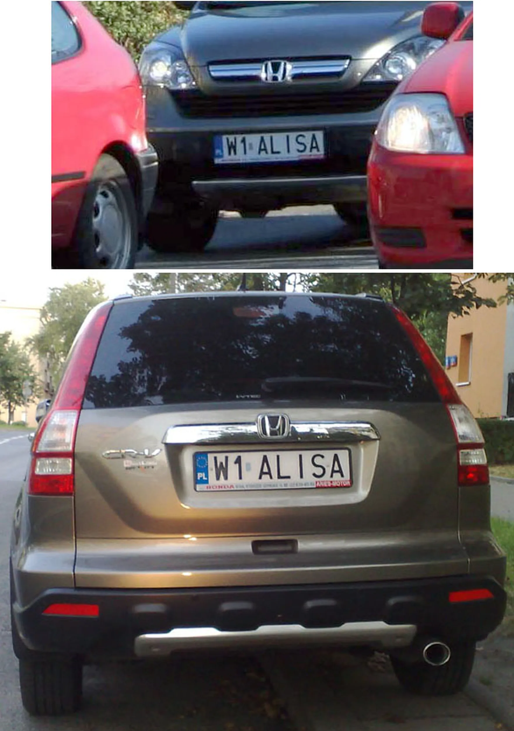 Fajny numer, blacha W1 ALISA