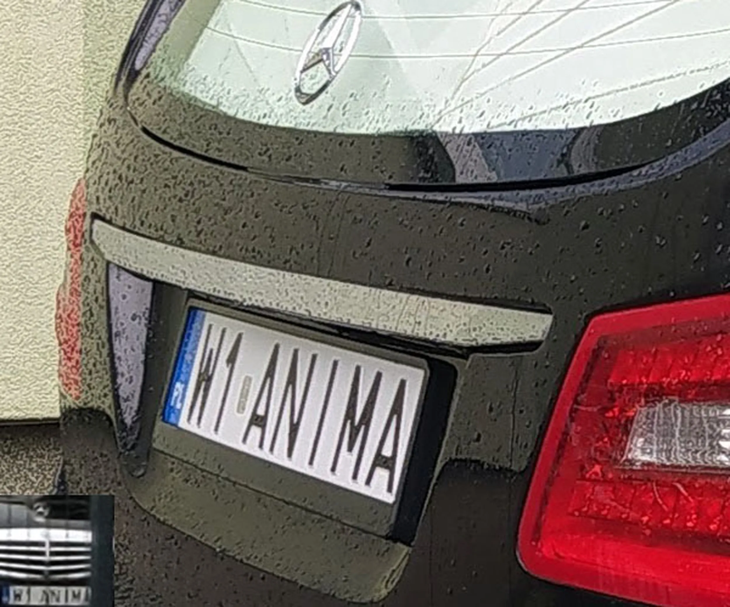 Fajny numer, blacha W1 ANIMA