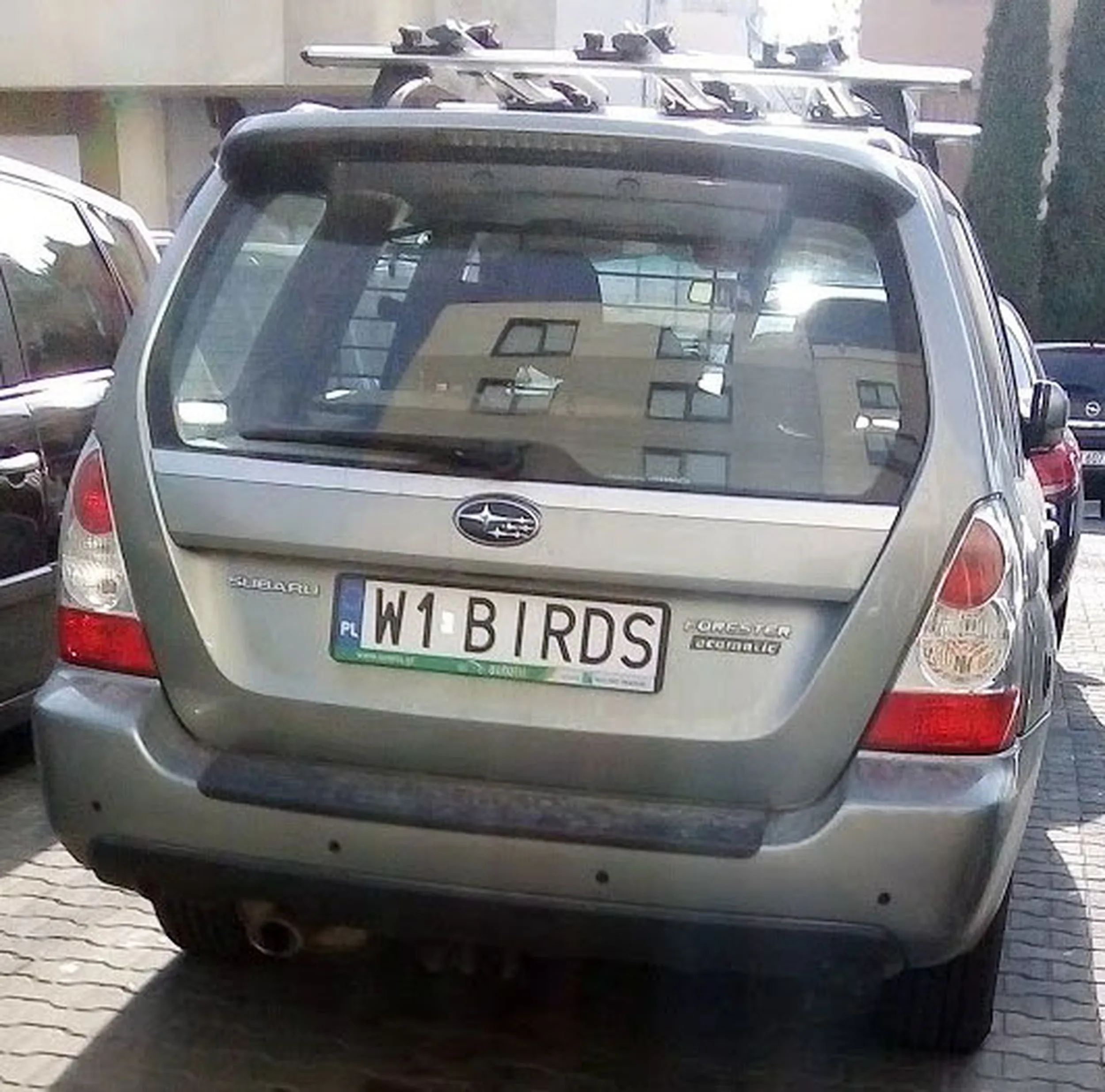 Fajny numer, blacha W1 BIRDS