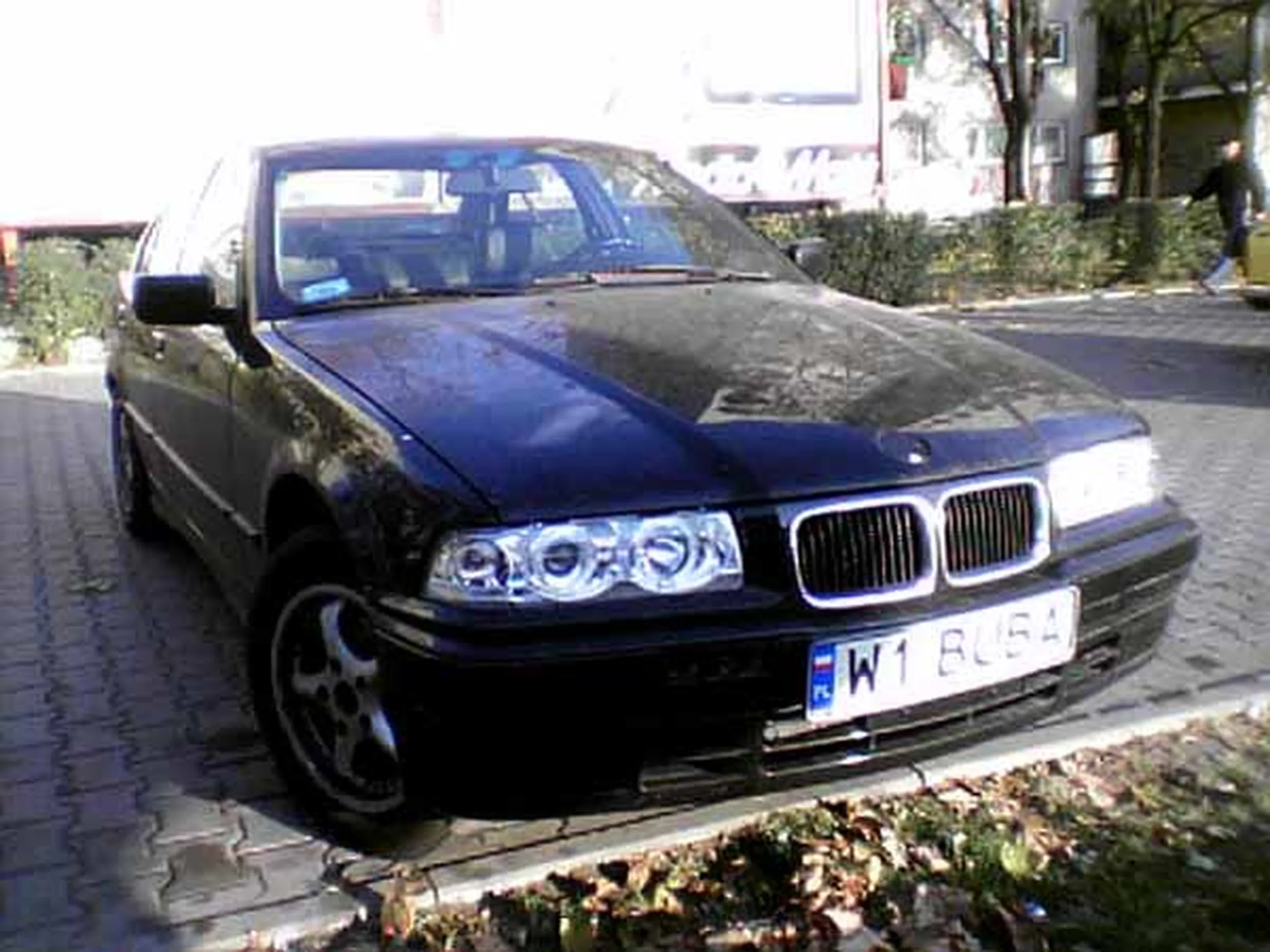 Fajny numer, blacha W1 BUBA