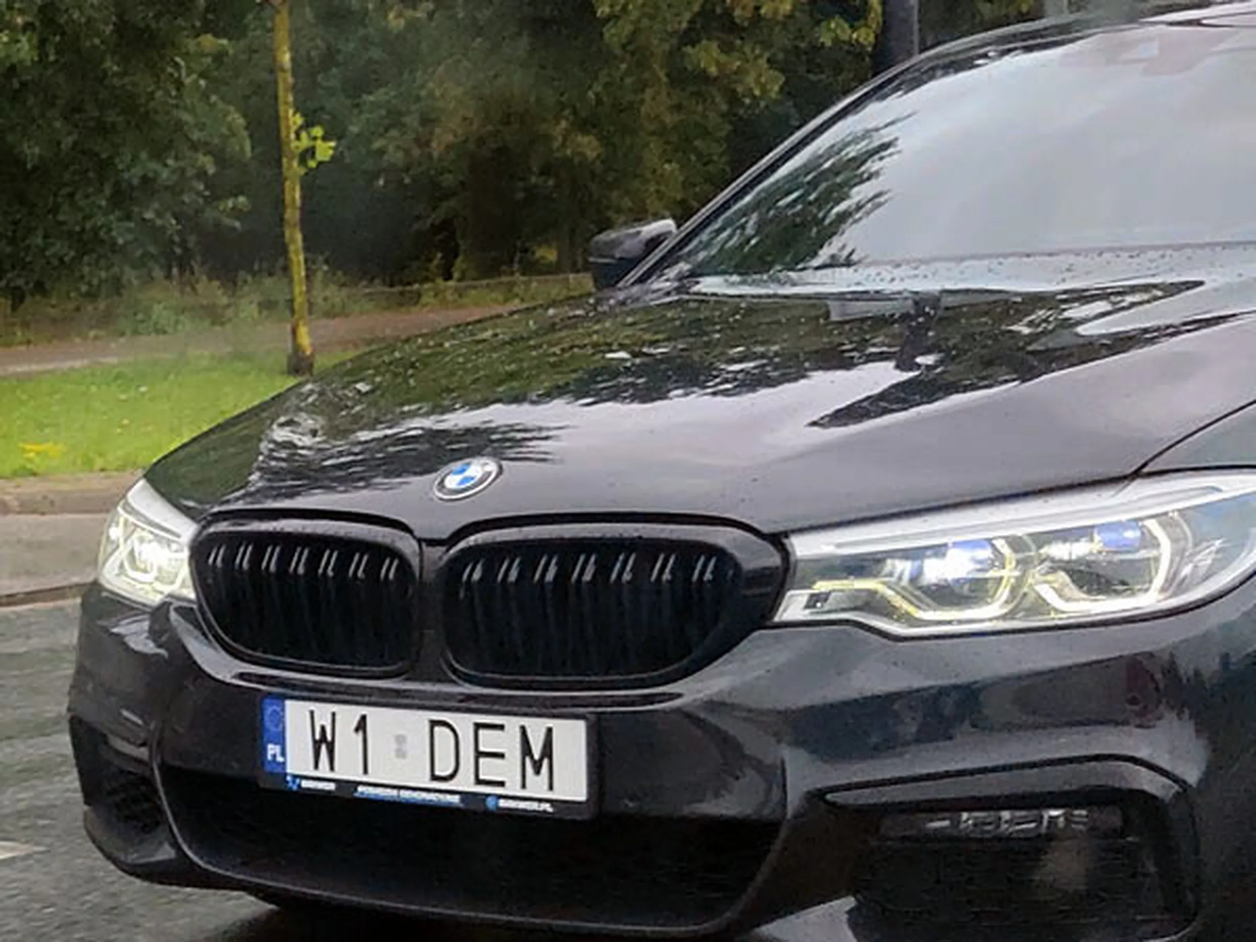 Fajny numer, blacha W1 DEM