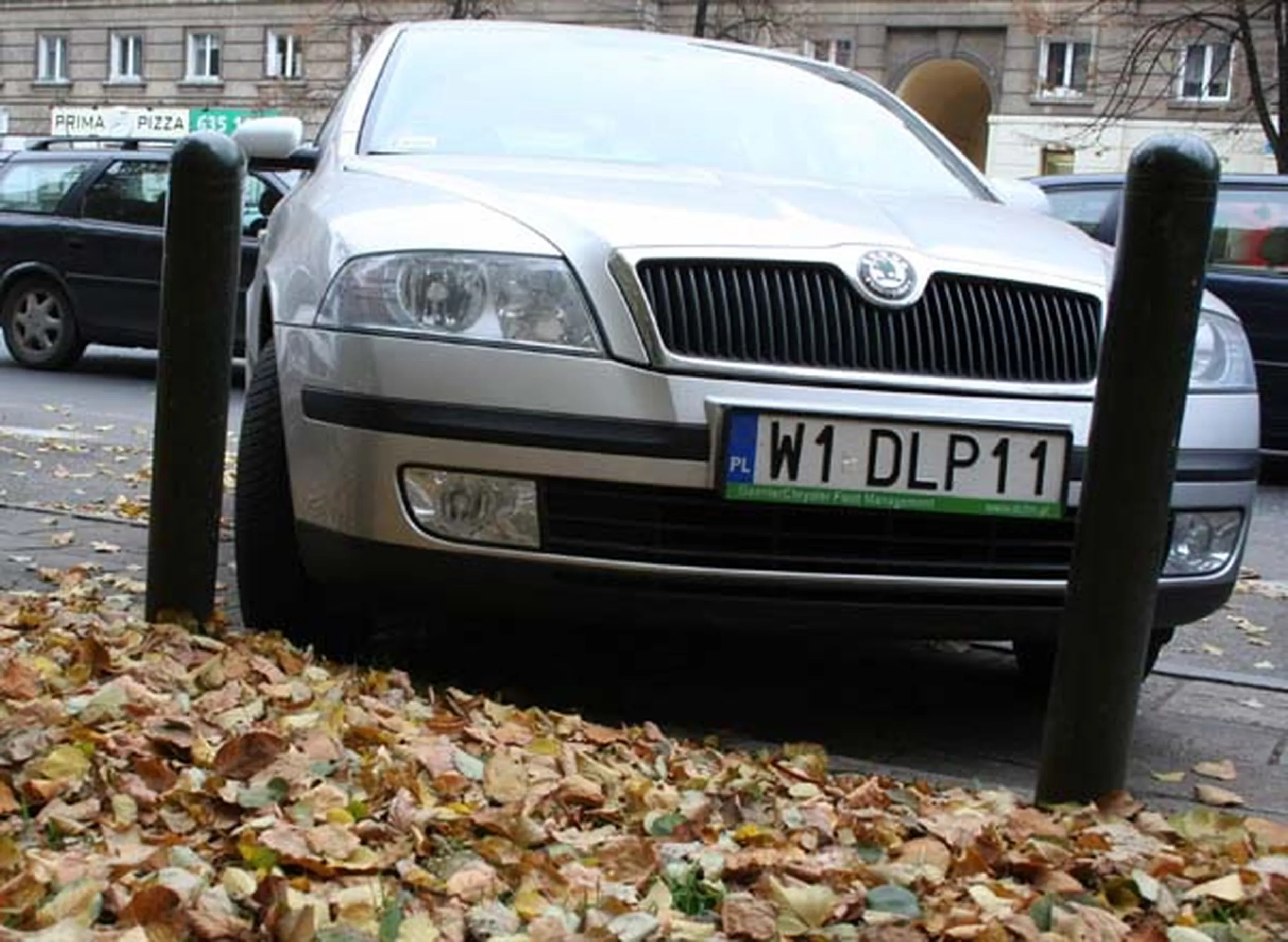 Fajny numer, blacha W1 DLP11