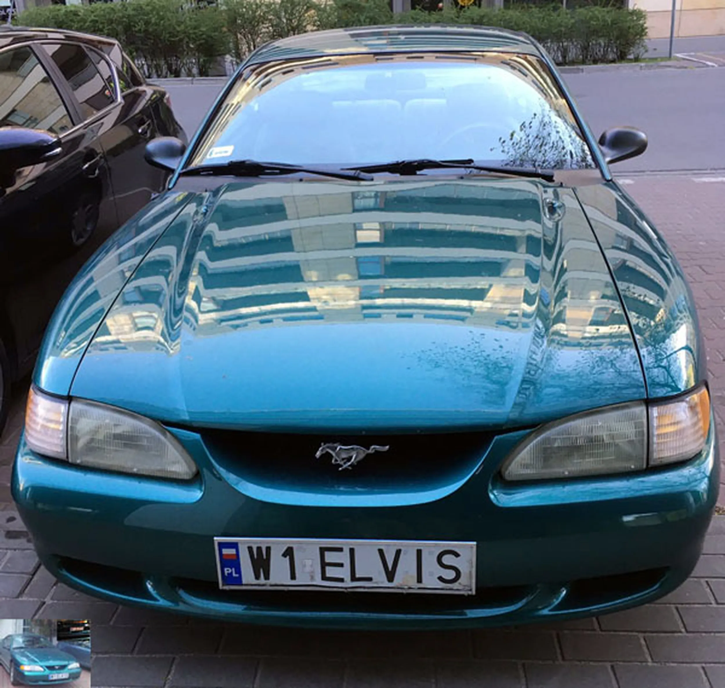 Fajny numer, blacha W1 ELVIS