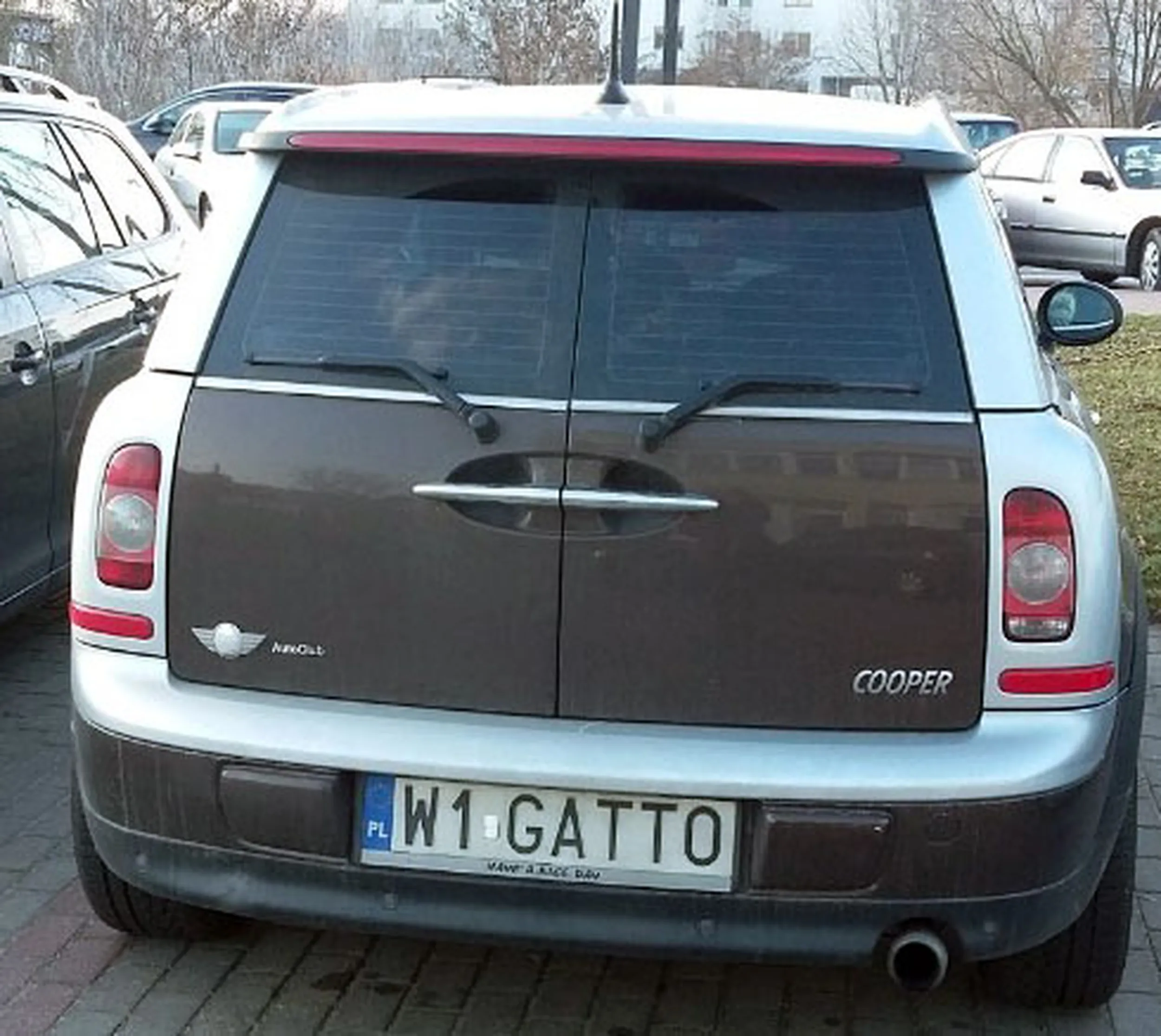 Fajny numer, blacha W1 GATTO