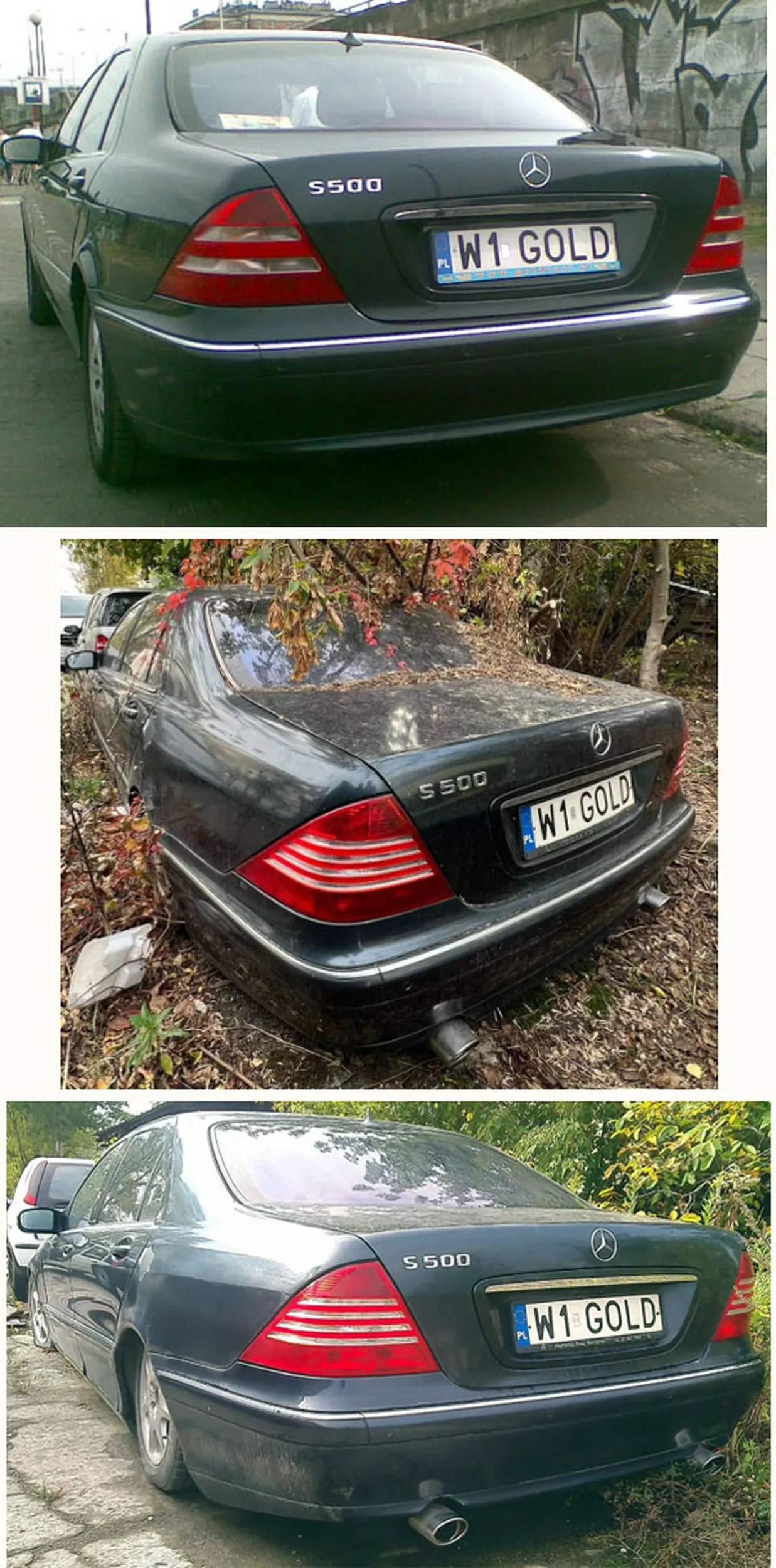 Fajny numer, blacha W1 GOLD