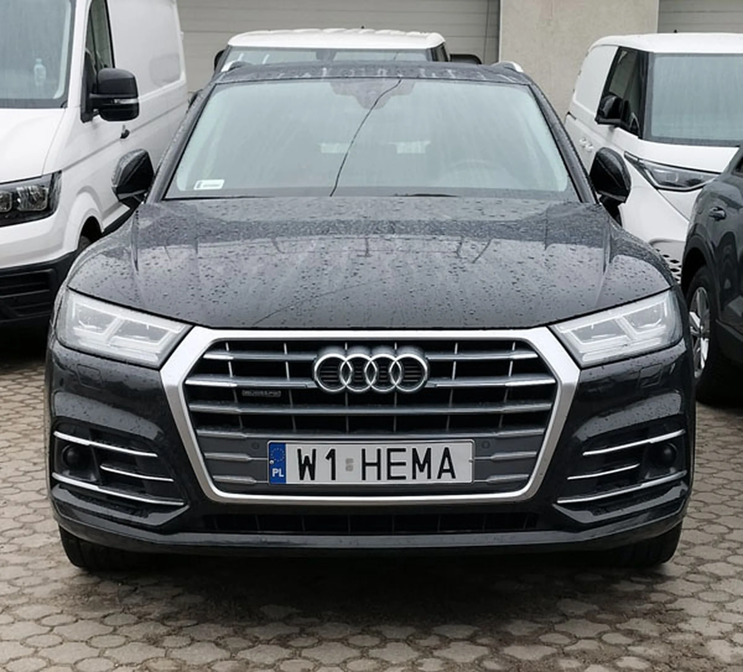 Fajny numer, blacha W1 HEMA