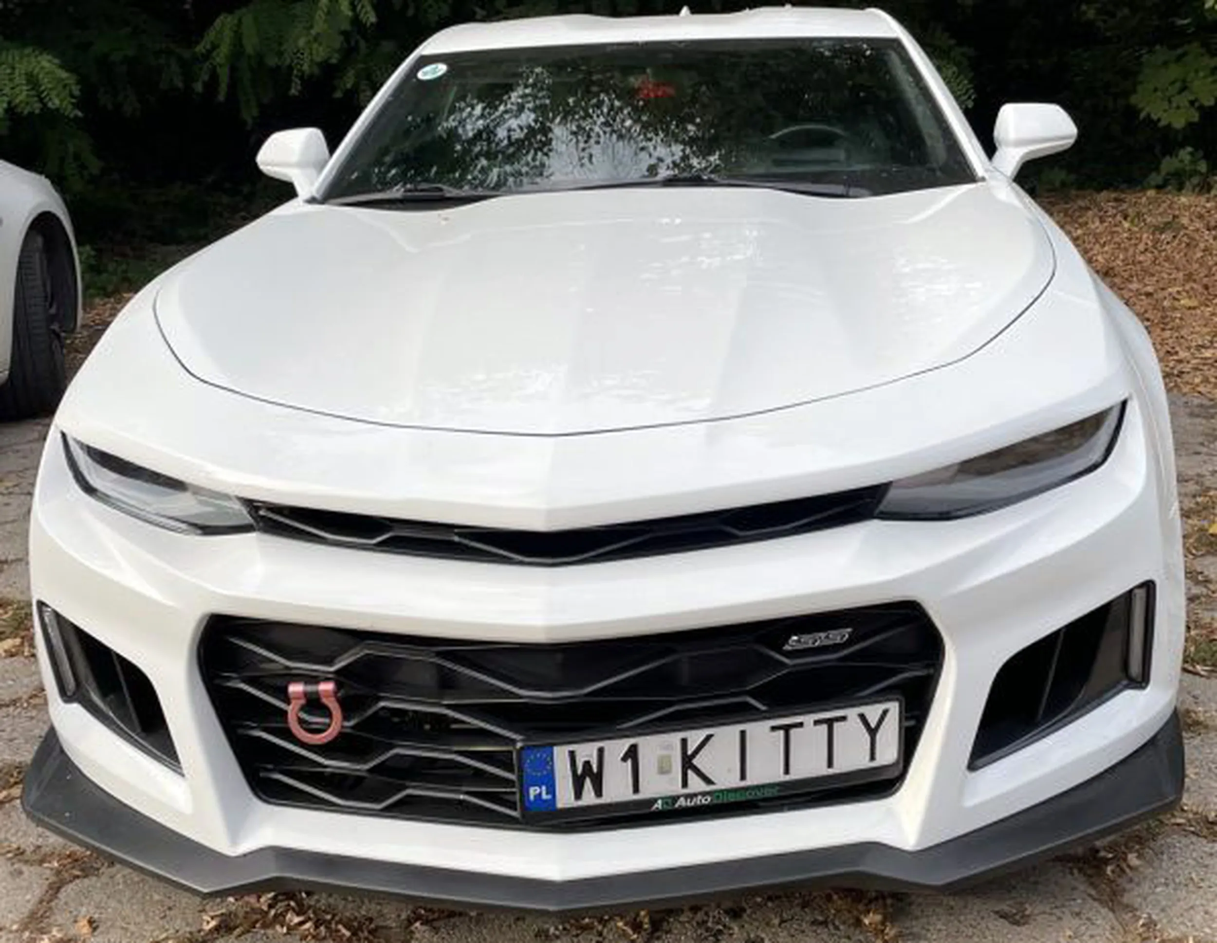 Fajny numer, blacha W1 KITTY