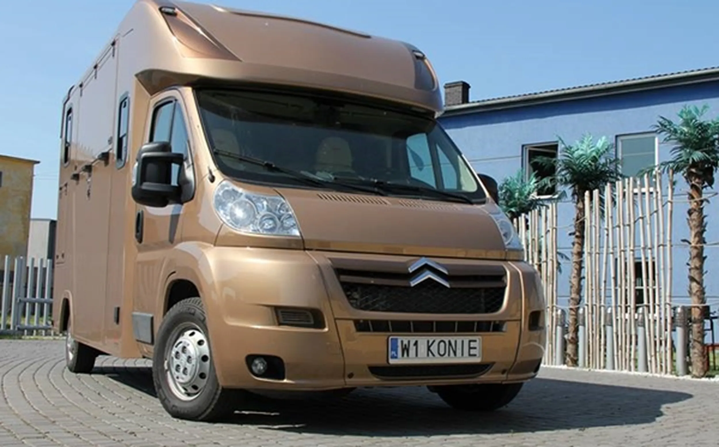 Fajny numer, blacha W1 KONIE