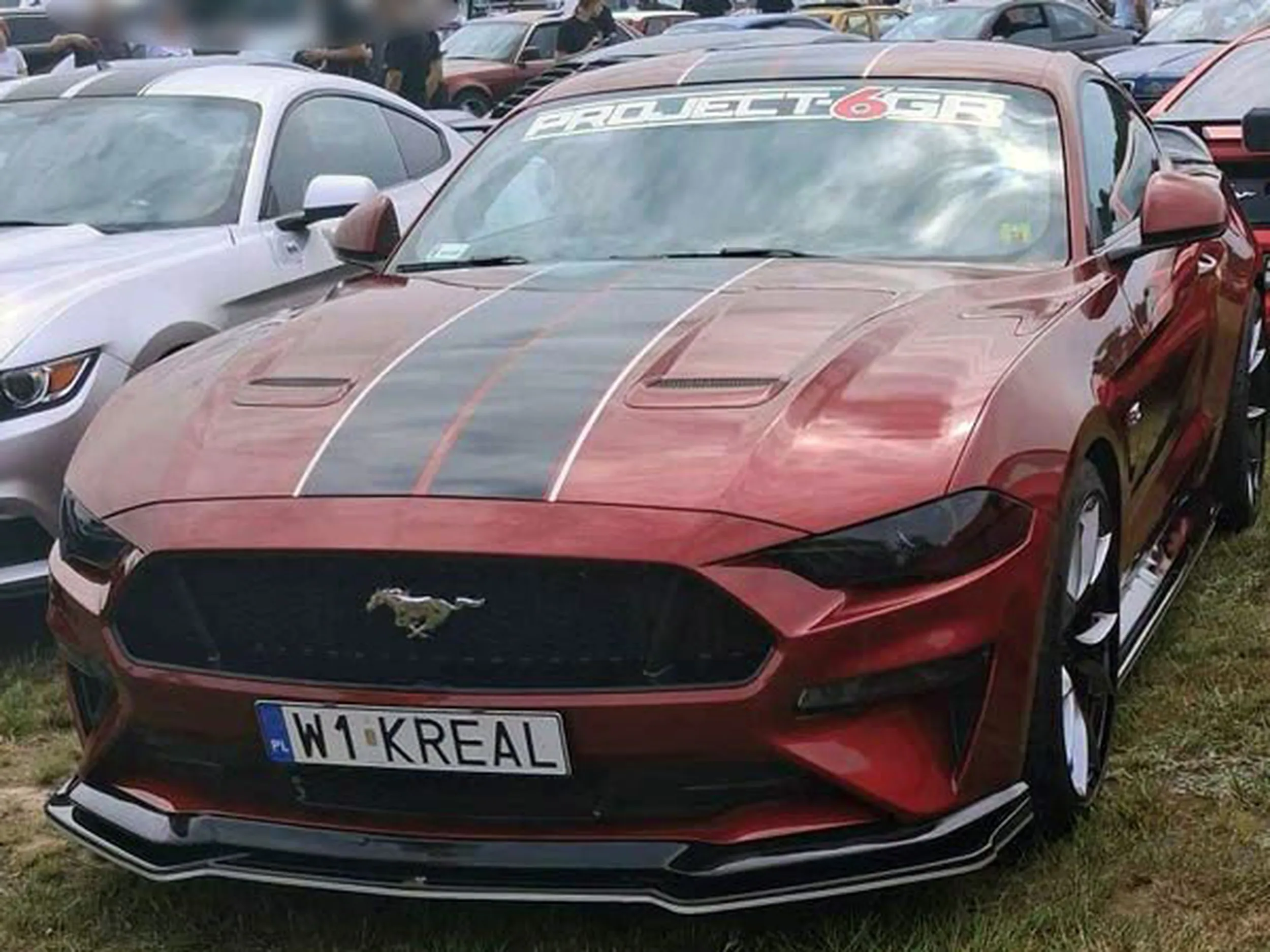 Fajny numer, blacha W1 KREAL