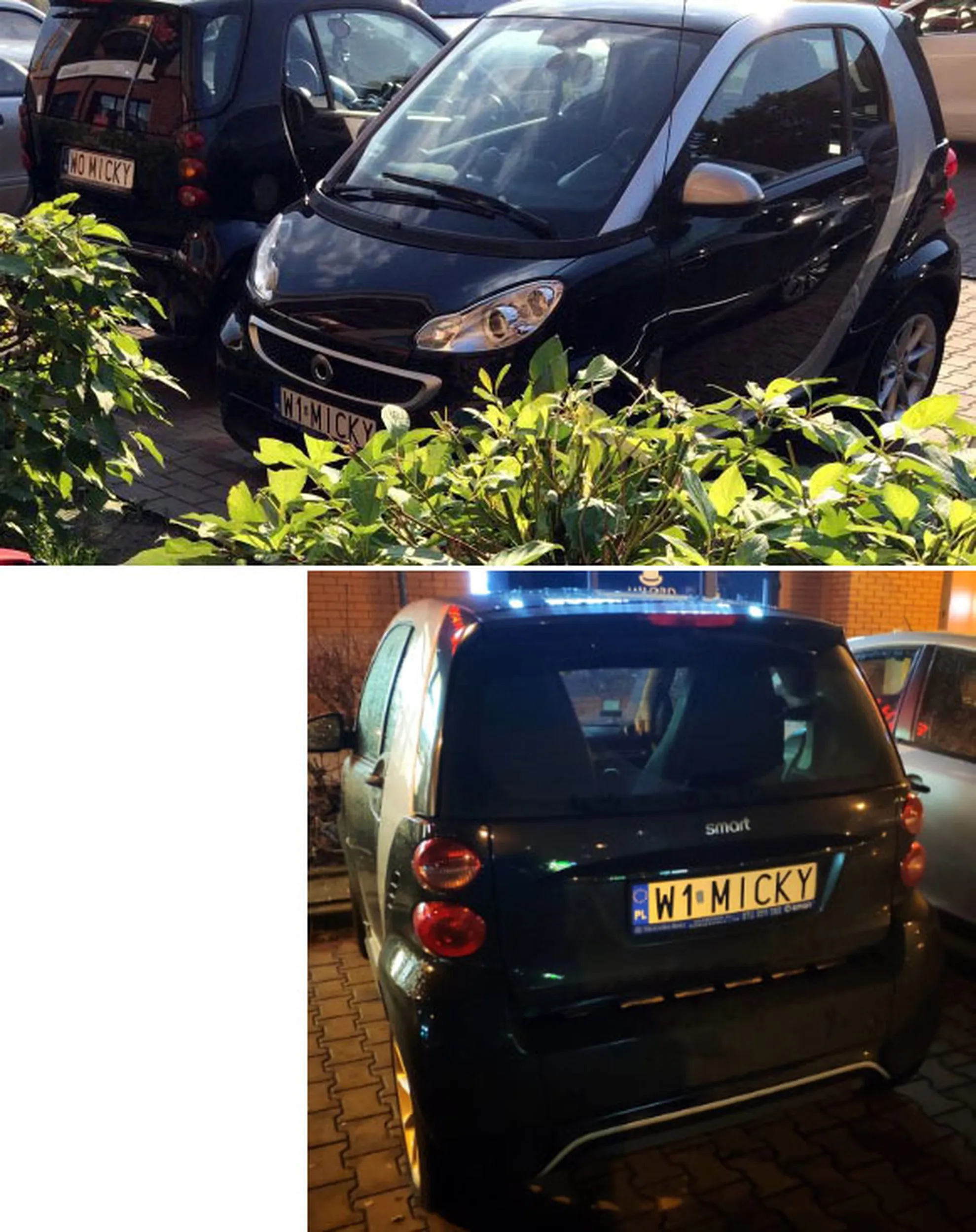 Fajny numer, blacha W1 MICKY