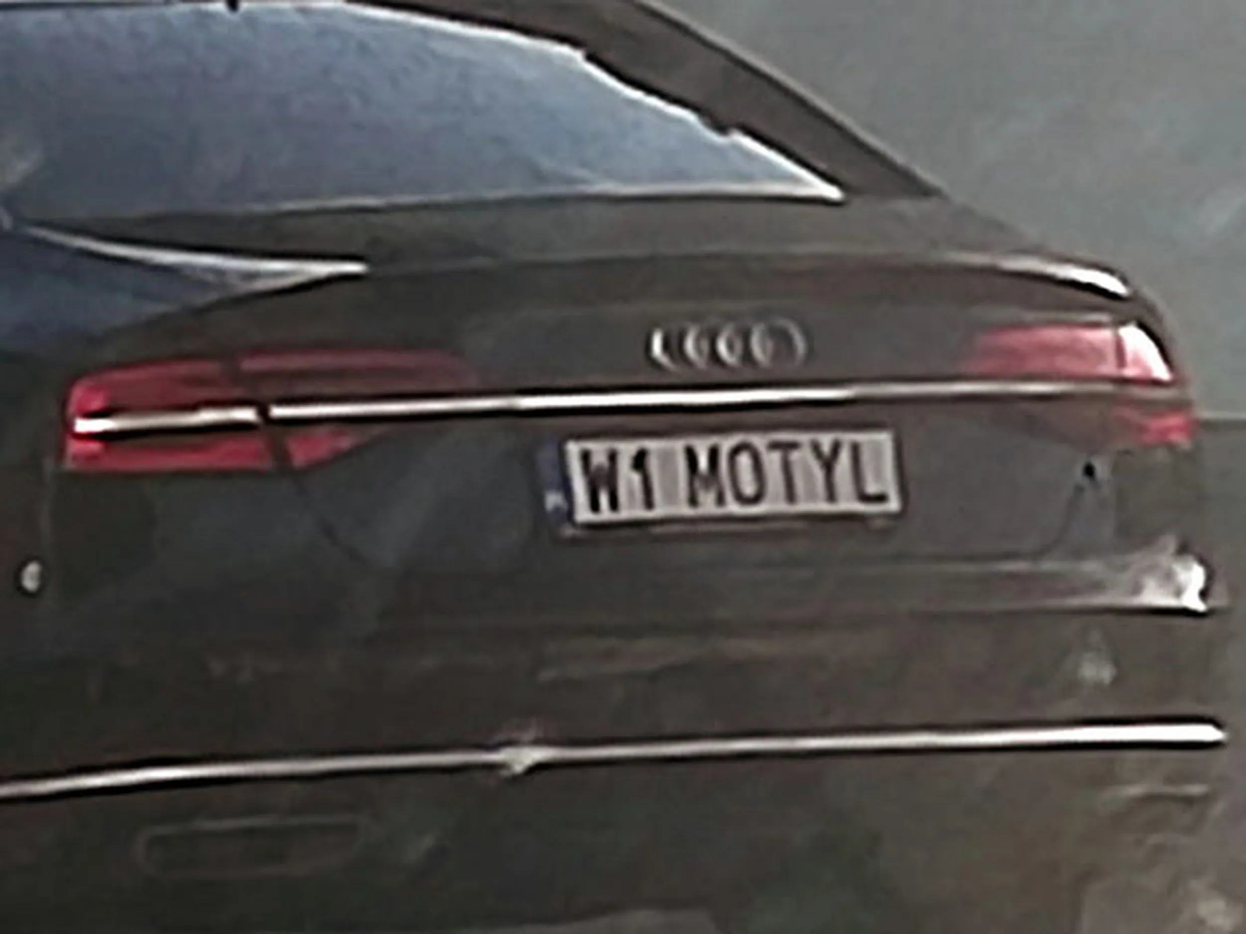 Fajny numer, blacha W1 MOTYL