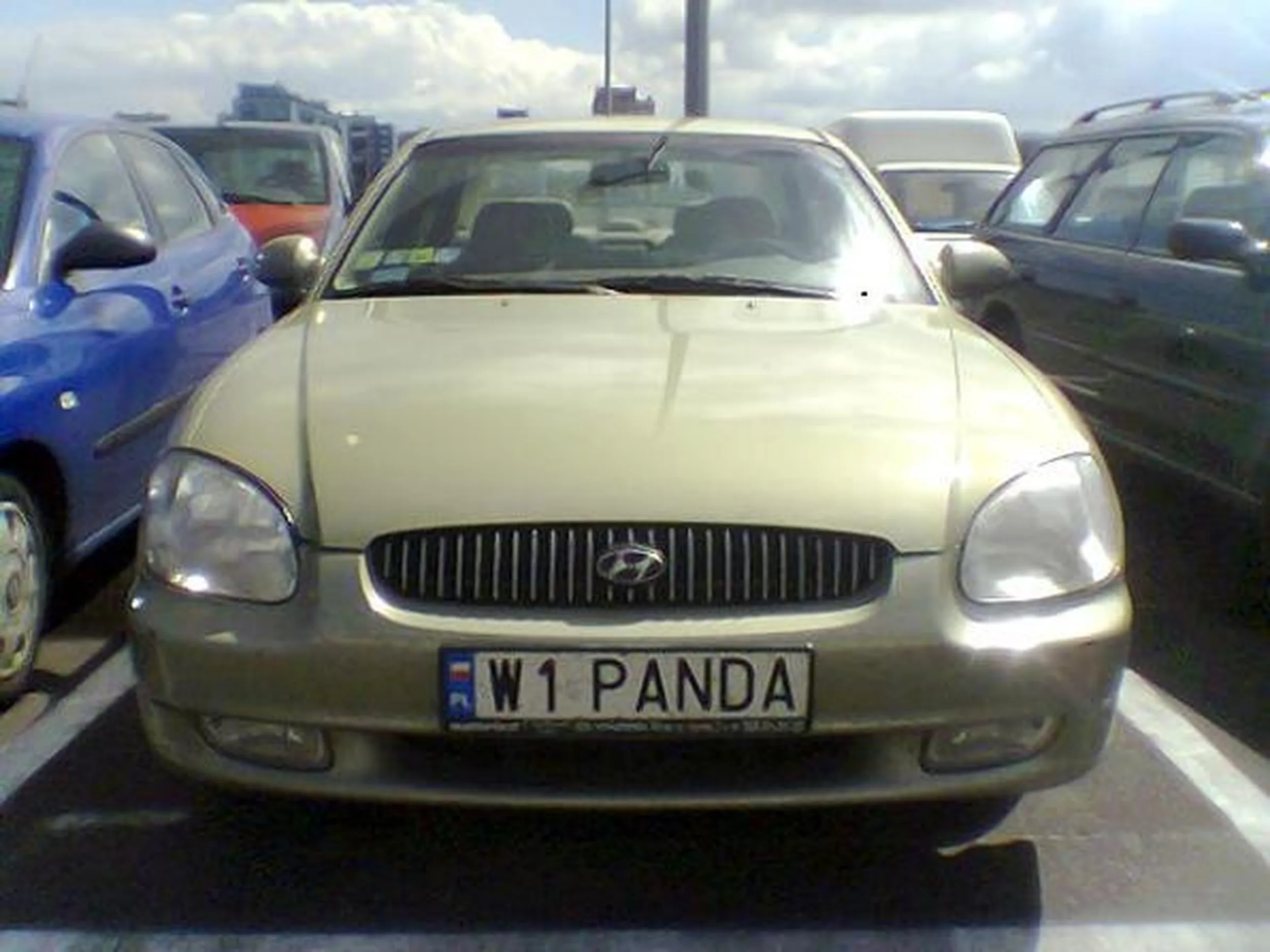 Fajny numer, blacha W1 PANDA