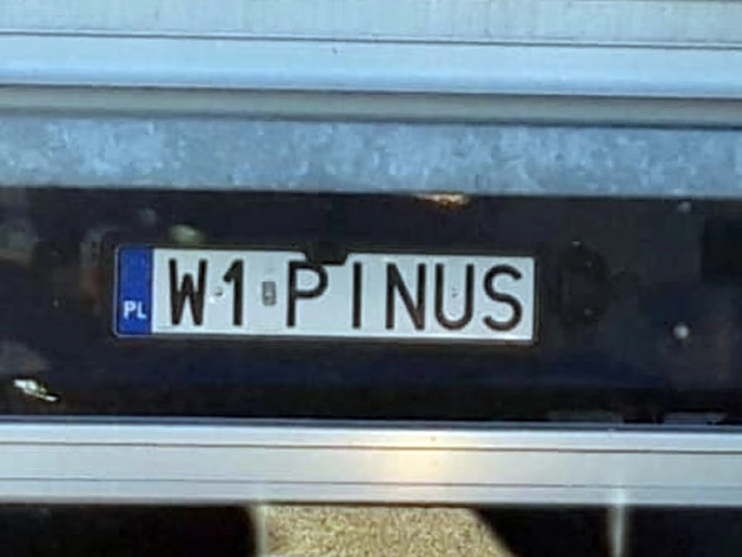 Fajny numer, blacha W1 PINUS