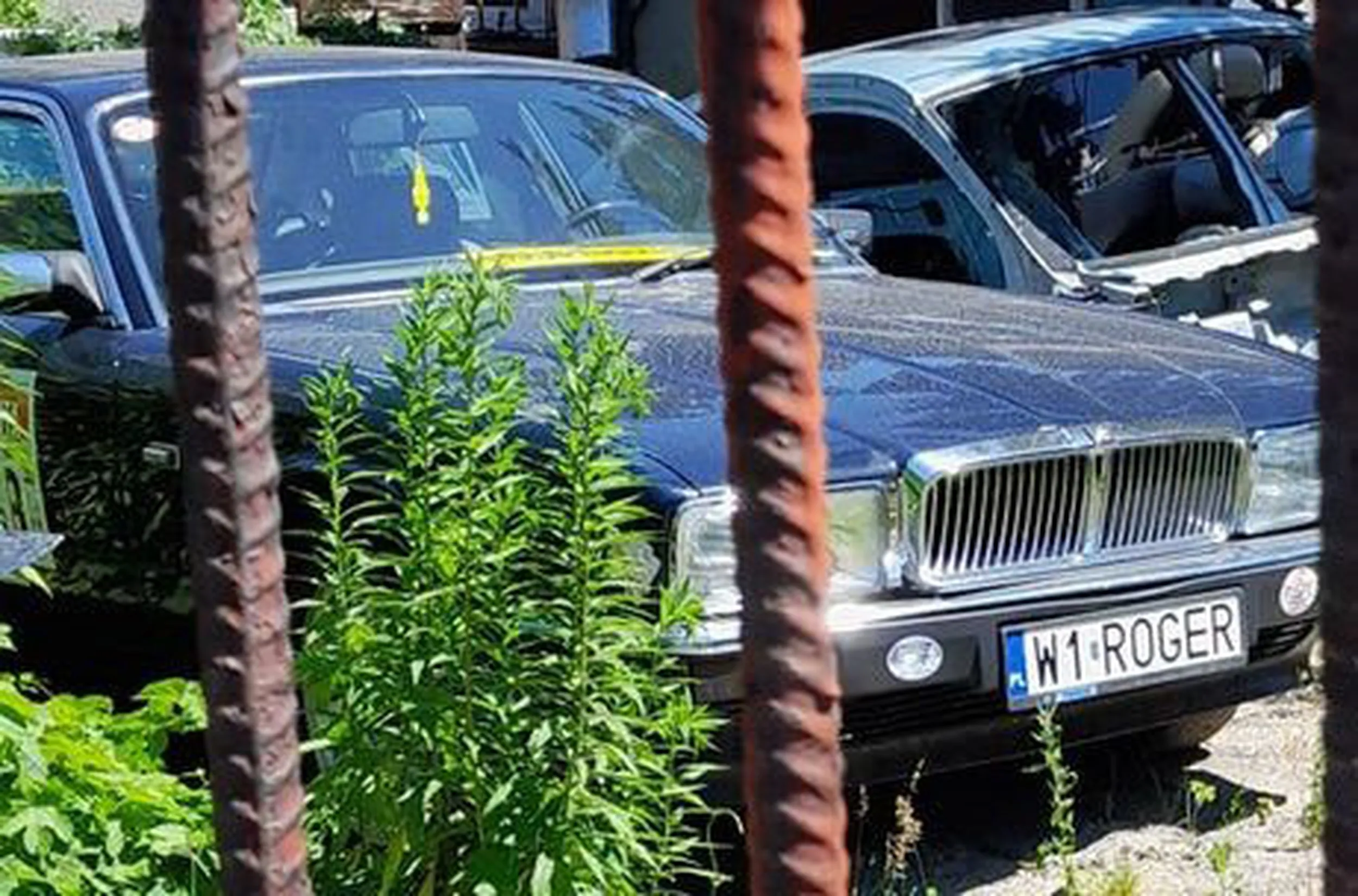 Fajny numer, blacha W1 ROGER