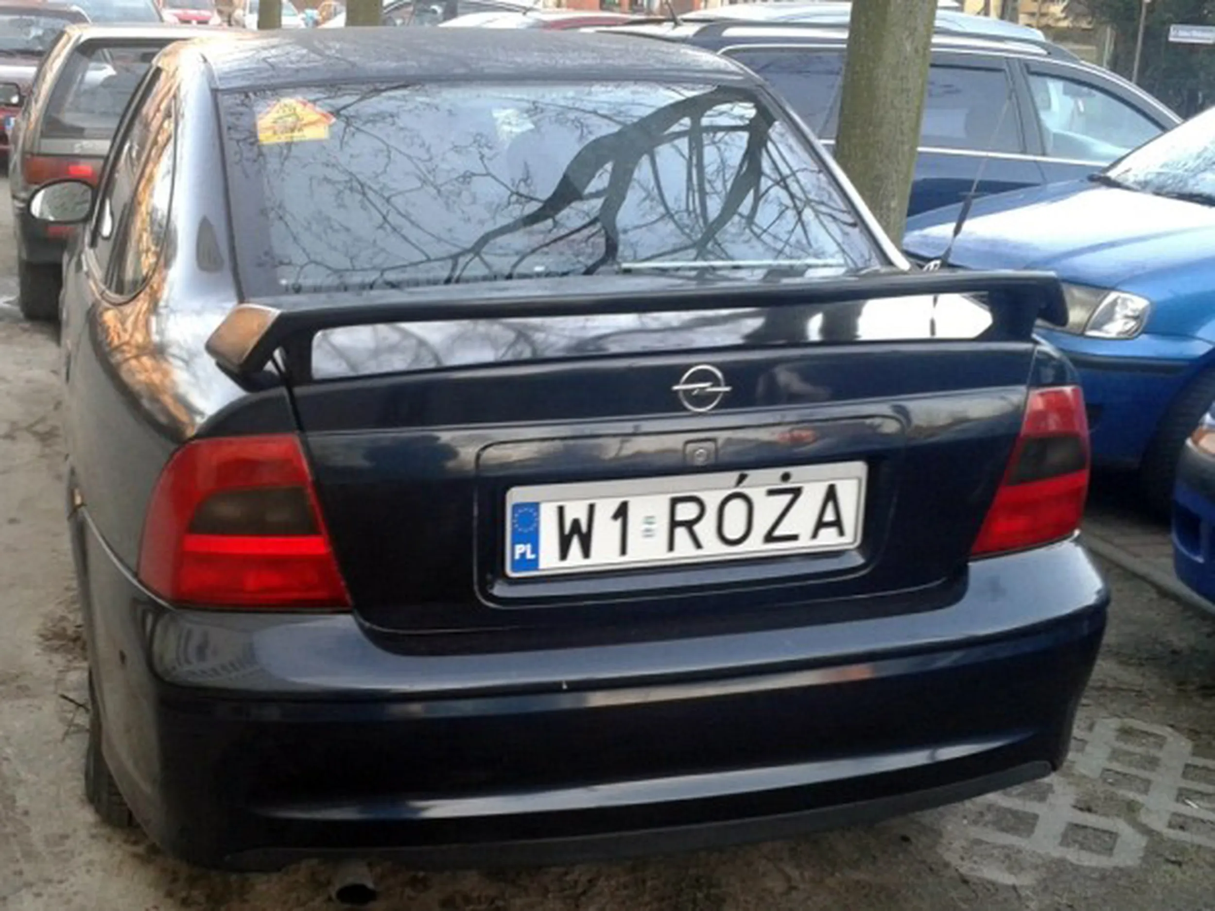 Fajny numer, blacha W1 ROZA