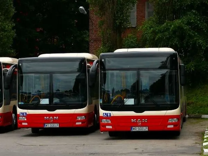 Fajny numer, blacha W1 SGELP