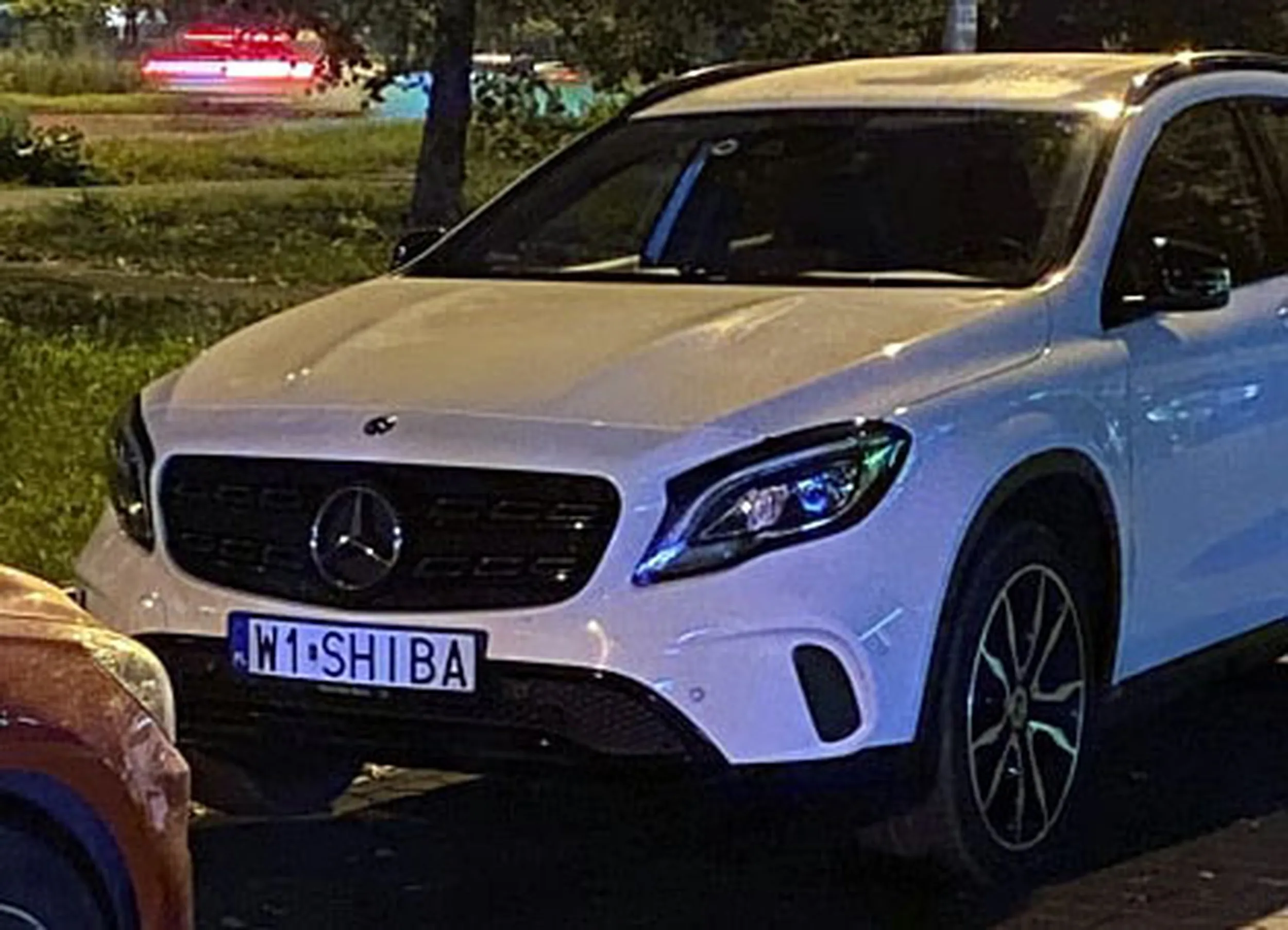 Fajny numer, blacha W1 SHIBA