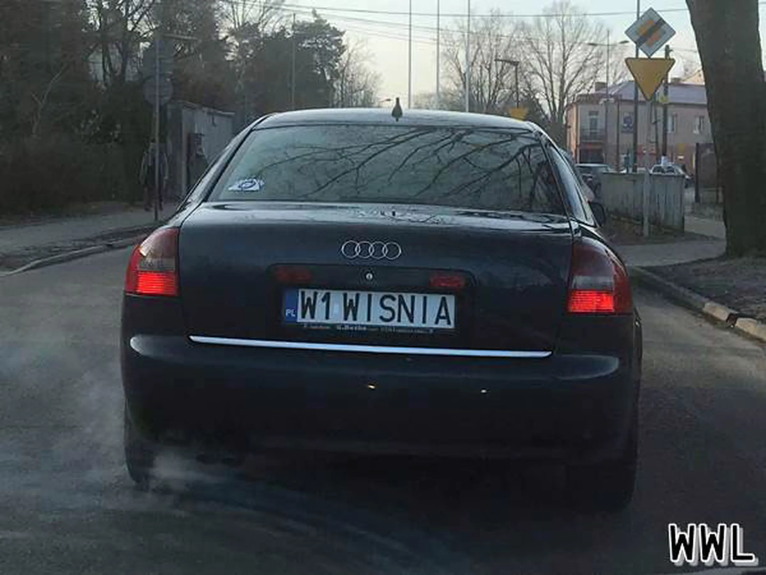 Fajny numer, blacha W1 WISNIA
