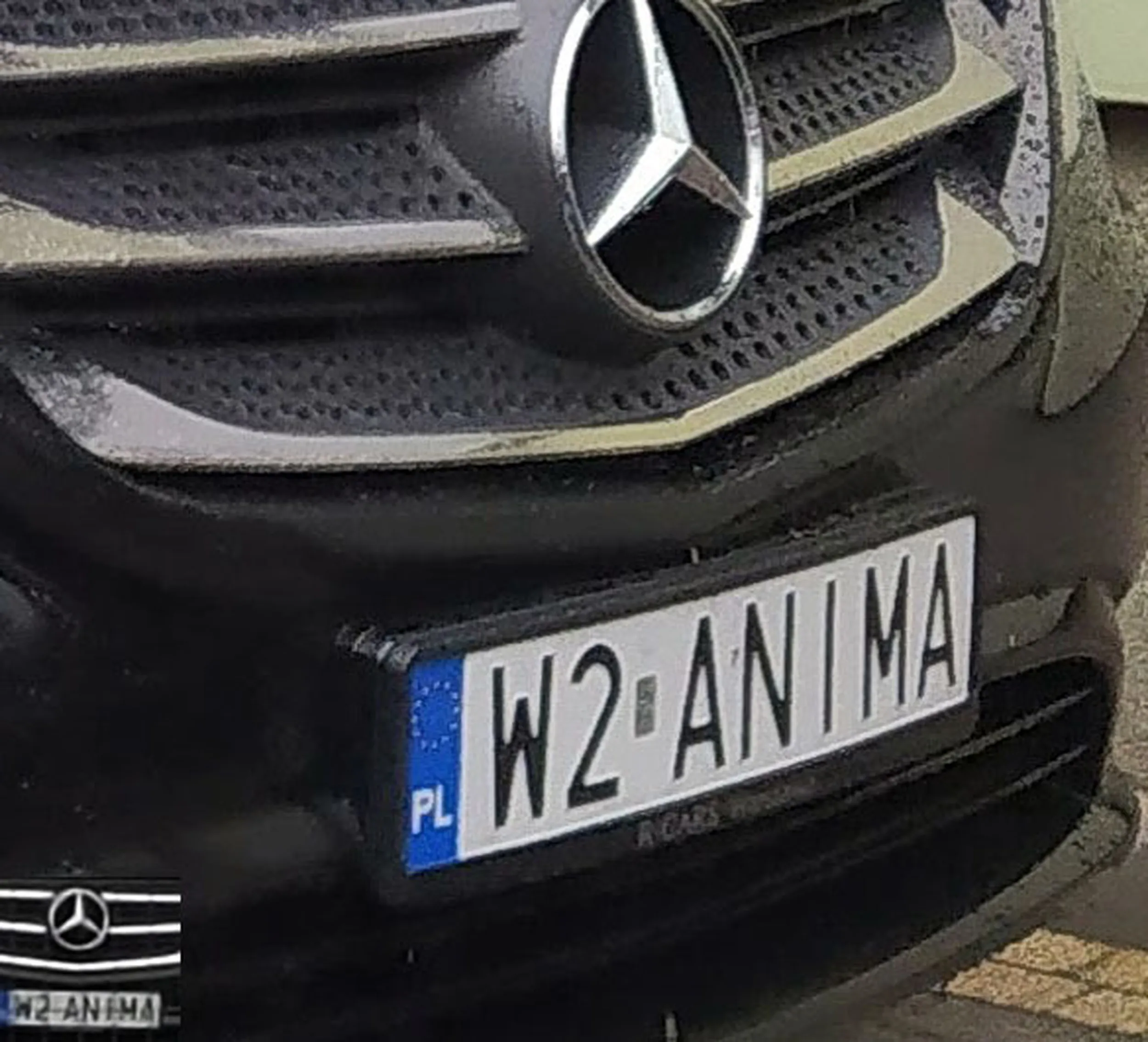 Fajny numer, blacha W2 ANIMA