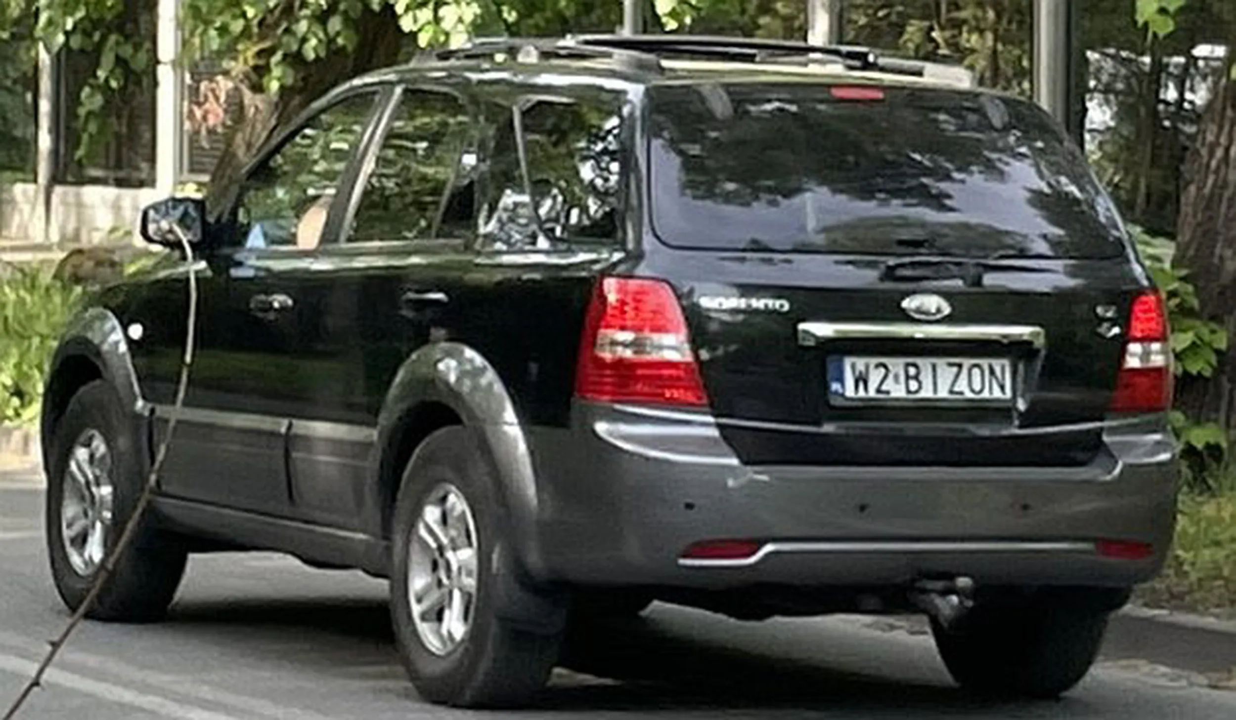 Fajny numer, blacha W2 BIZON