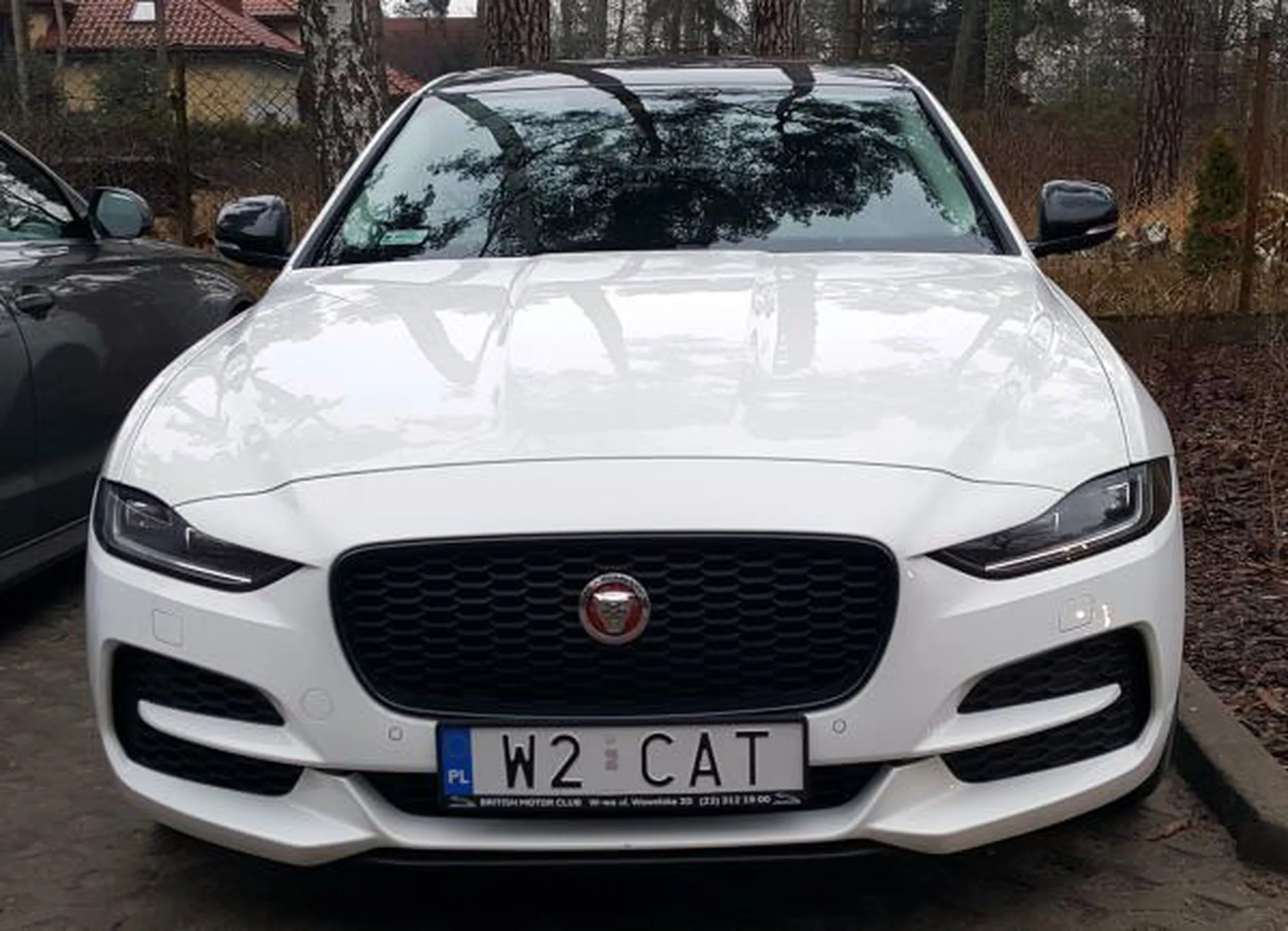 Fajny numer, blacha W2 CAT