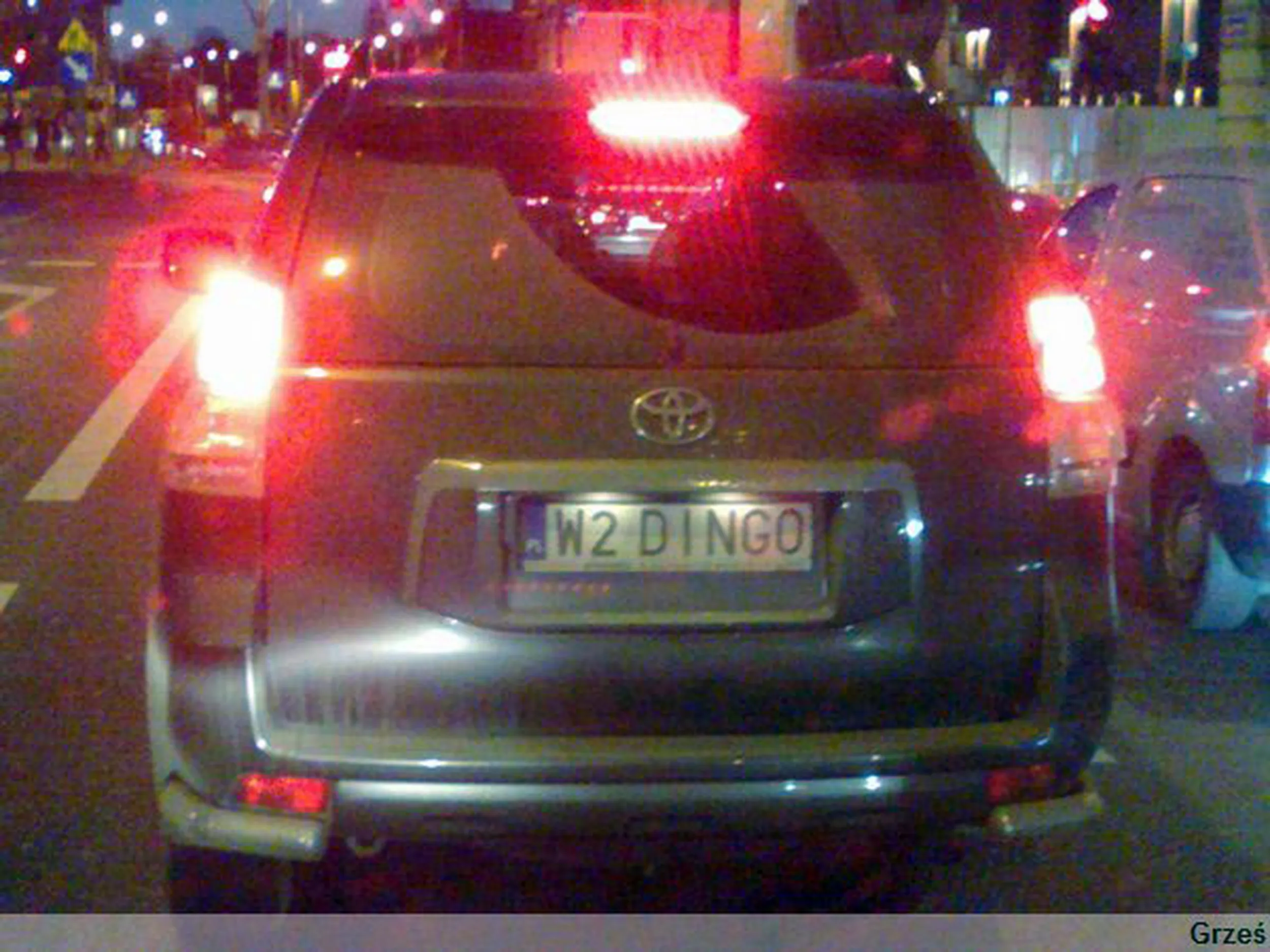 Fajny numer, blacha W2 DINGO