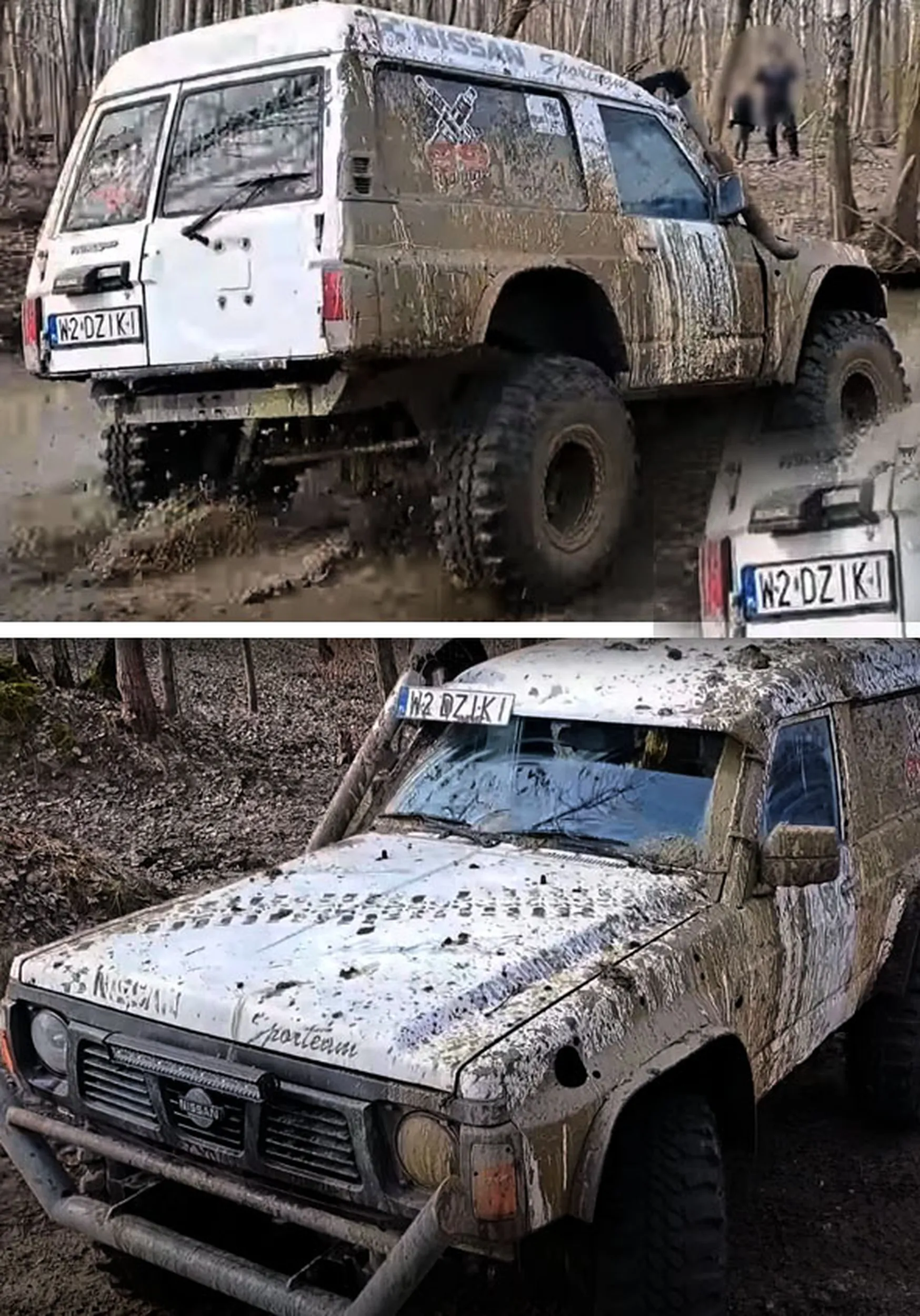 Fajny numer, blacha W2 DZIKI