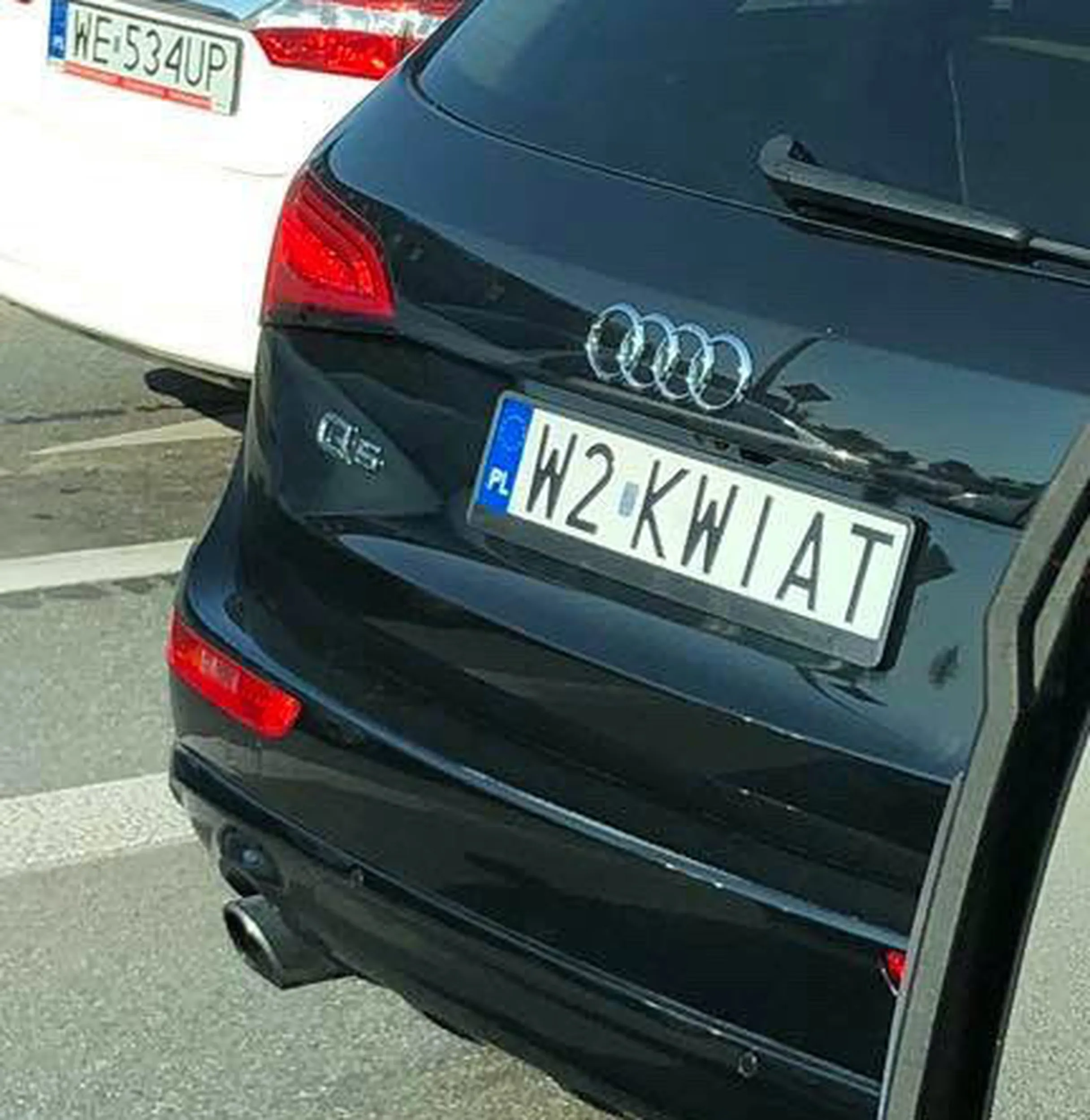 Fajny numer, blacha W2 KWIAT