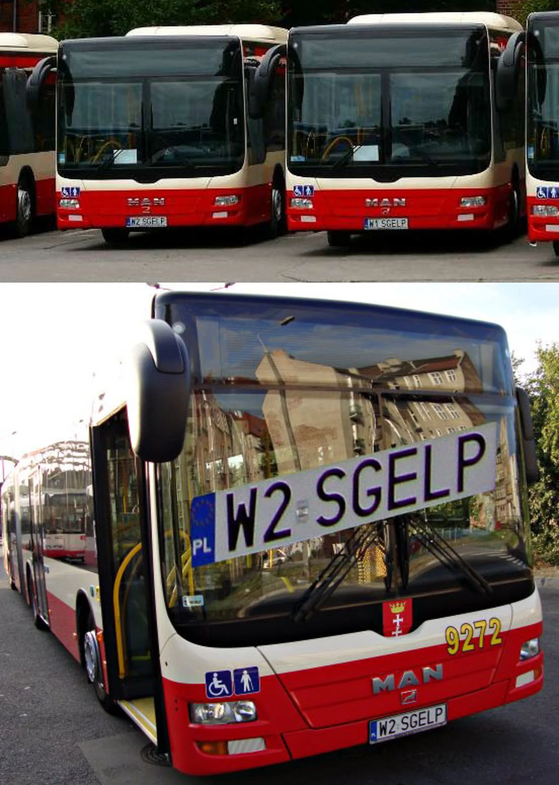 Fajny numer, blacha W2 SGELP