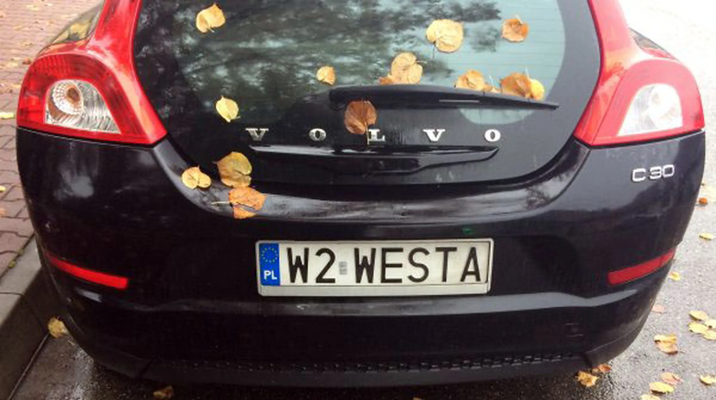 Fajny numer, blacha W2 WESTA