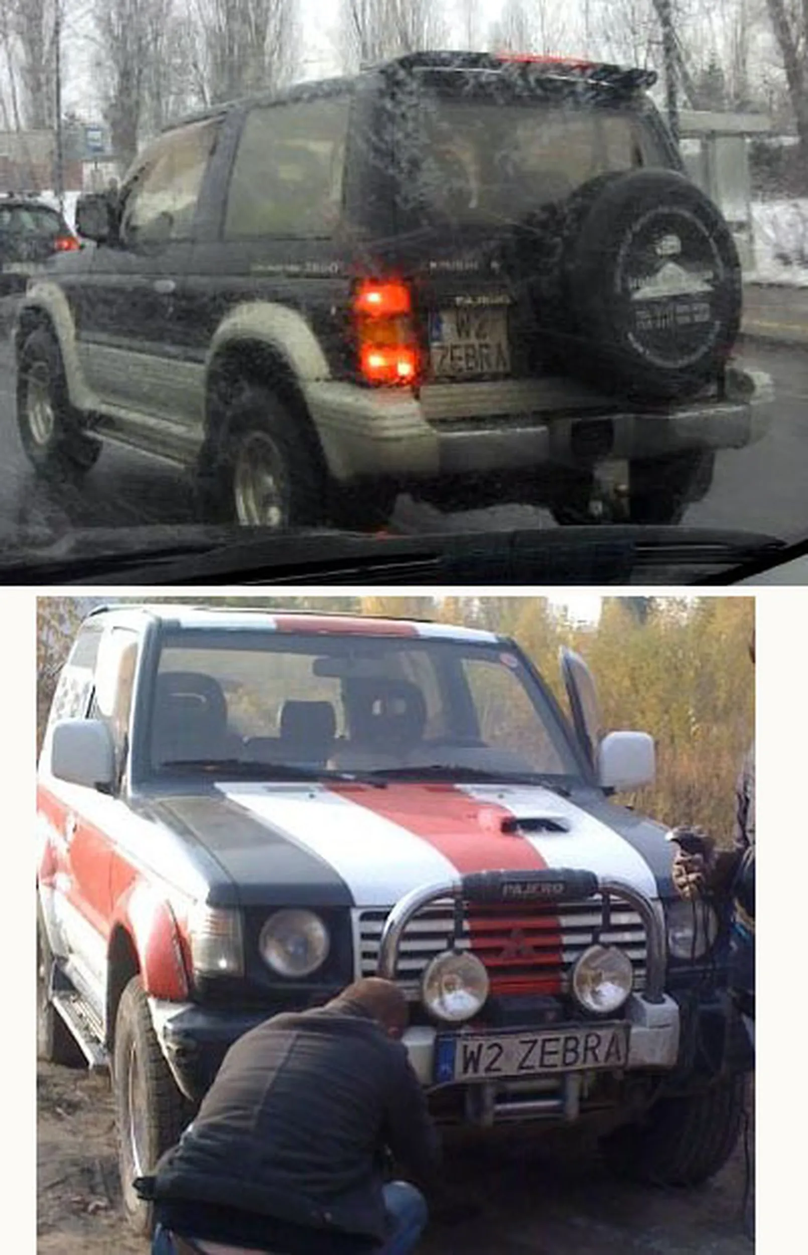 Fajny numer, blacha W2 ZEBRA