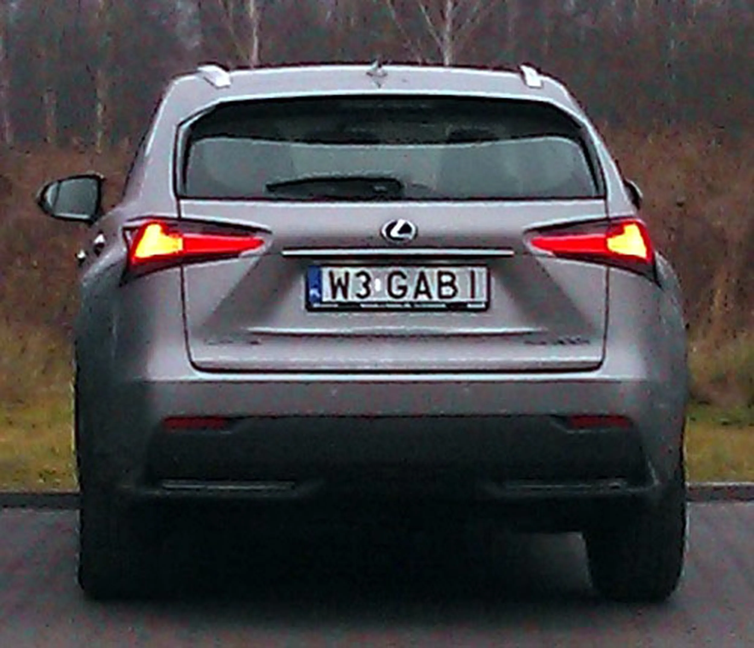 Fajny numer, blacha W3 GABI