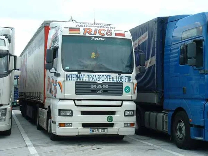 Fajny numer, blacha W3 RICO1