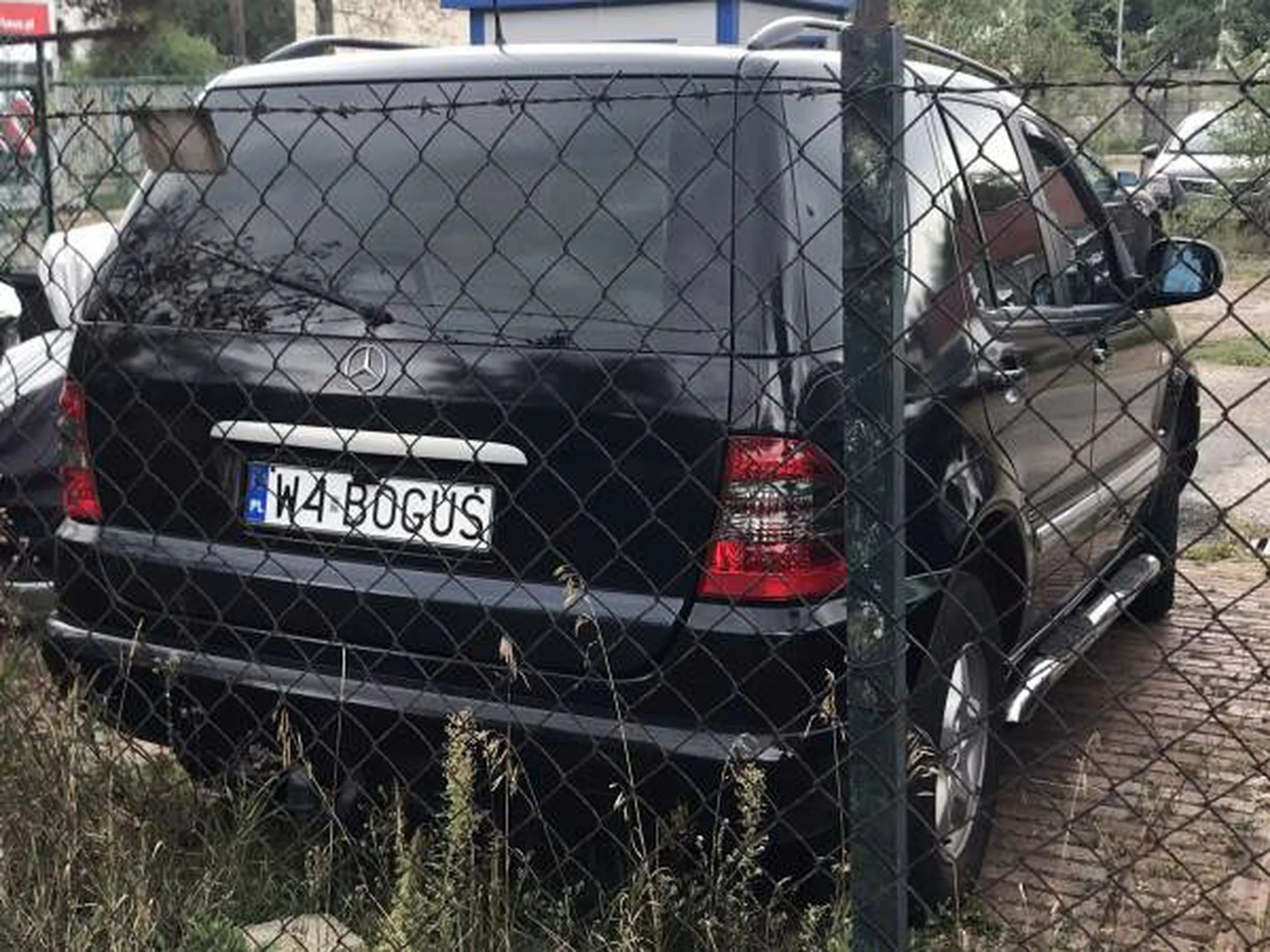 Fajny numer, blacha W4 BOGUS