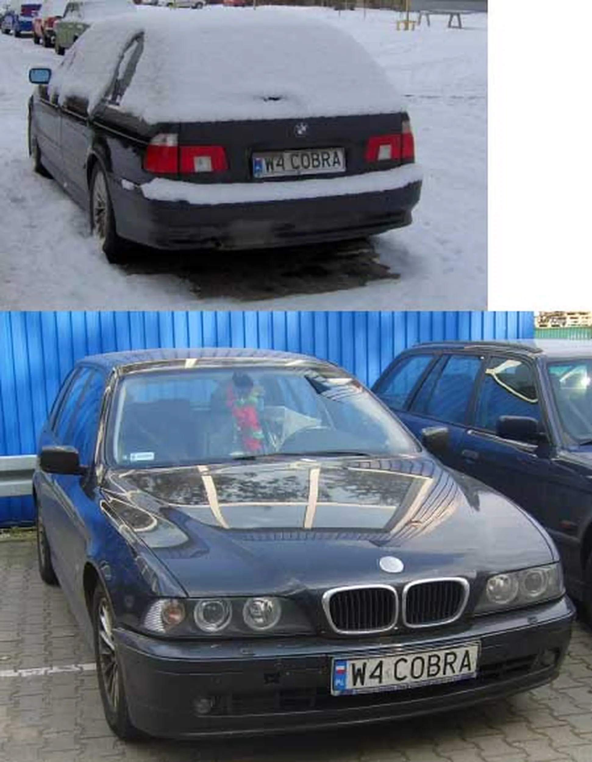 Fajny numer, blacha W4 COBRA