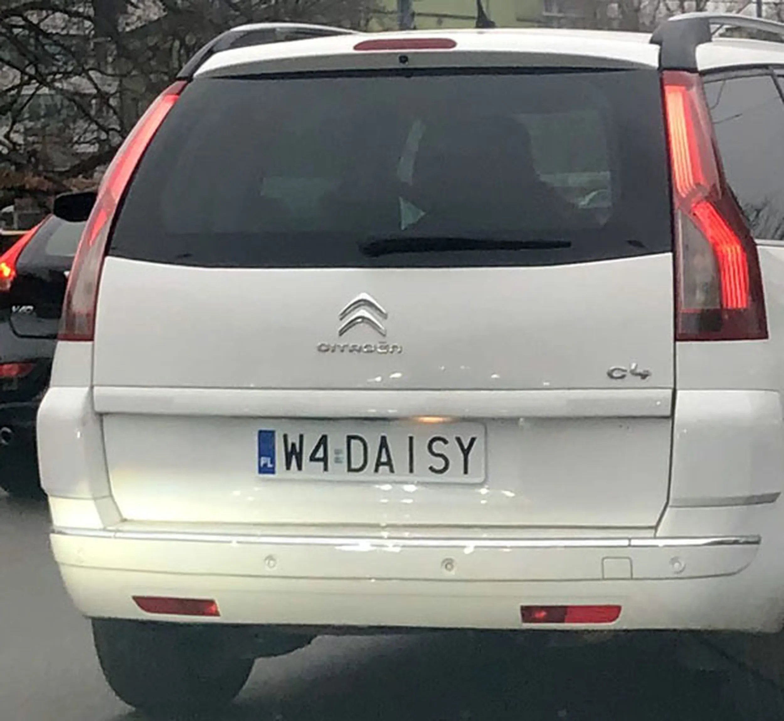 Fajny numer, blacha W4 DAISY