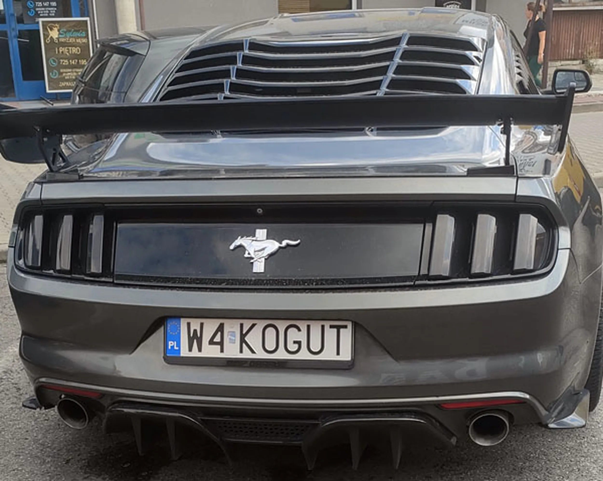 Fajny numer, blacha W4 KOGUT