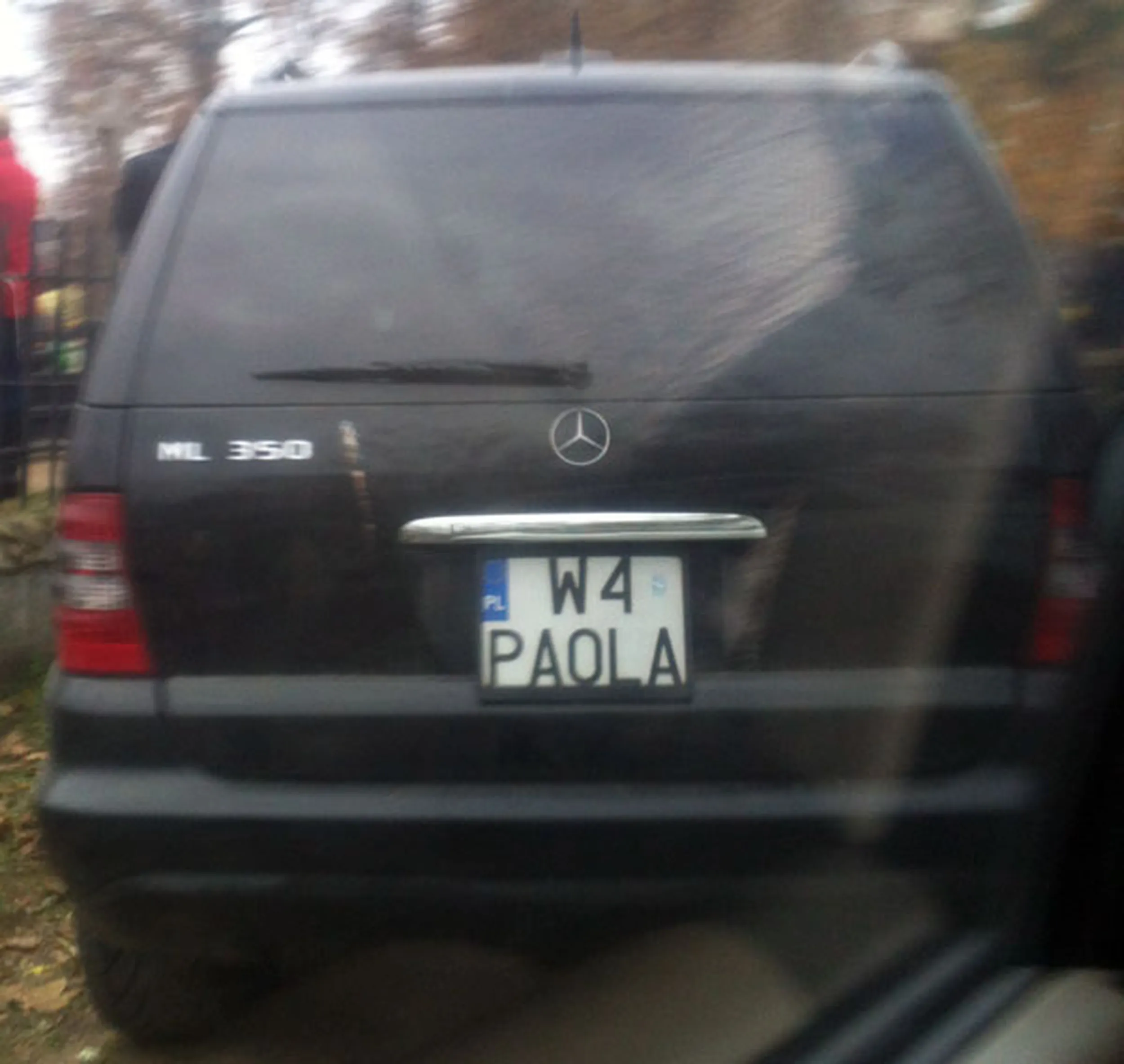 Fajny numer, blacha W4 PAOLA